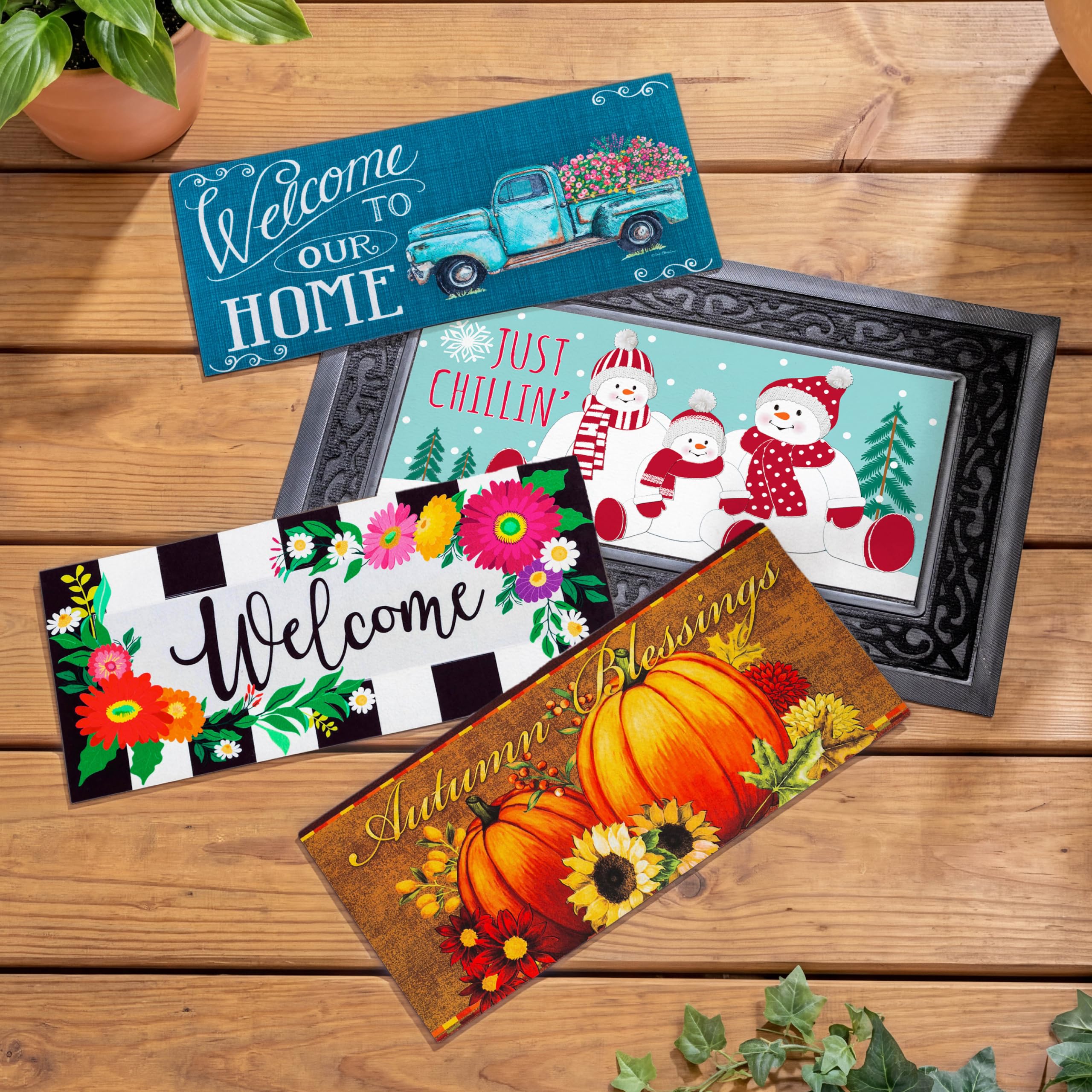 Amazon.com: Evergreen Sassafras Bundle - Set of 4 Seasons