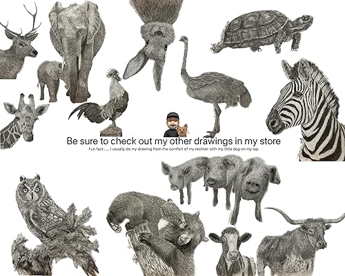 Miniatura 3 de Ostrich Bird Africa Nature Wildlife Graphite Pencil Art Sketch Drawing Print Picture Limited Edition  'I'll Fly Tomorrow' by David Allen (11x14 Mat