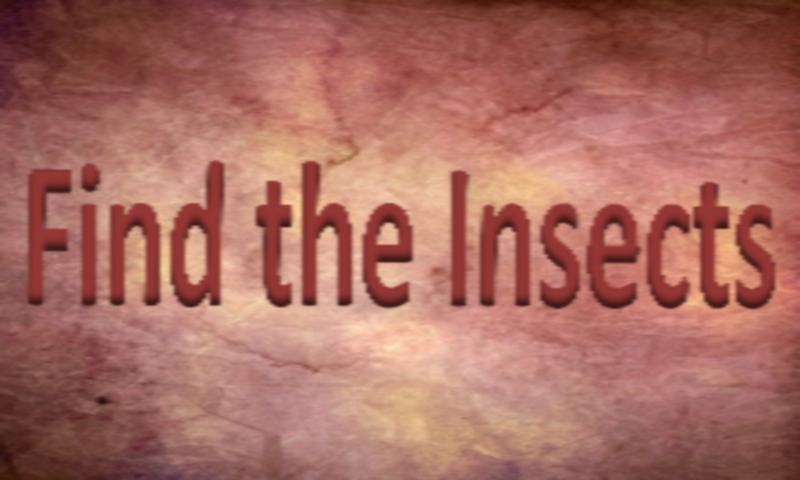 Find The Bugs - App on Amazon Appstore
