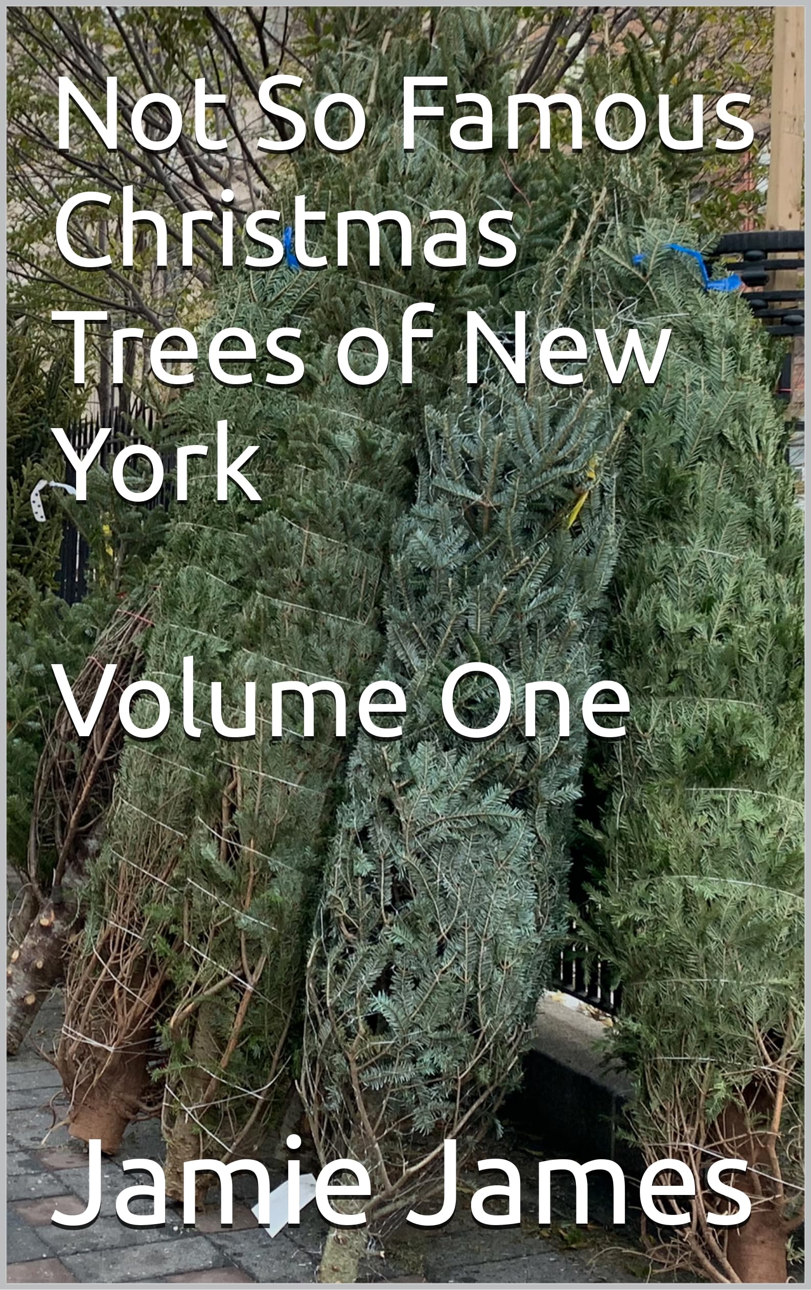 Livre Christmas Trees of New York Vol. 1, l'album photo alternatif en anglais