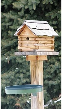 Explore Bird Bath Tops For Outdoors Amazon Com
