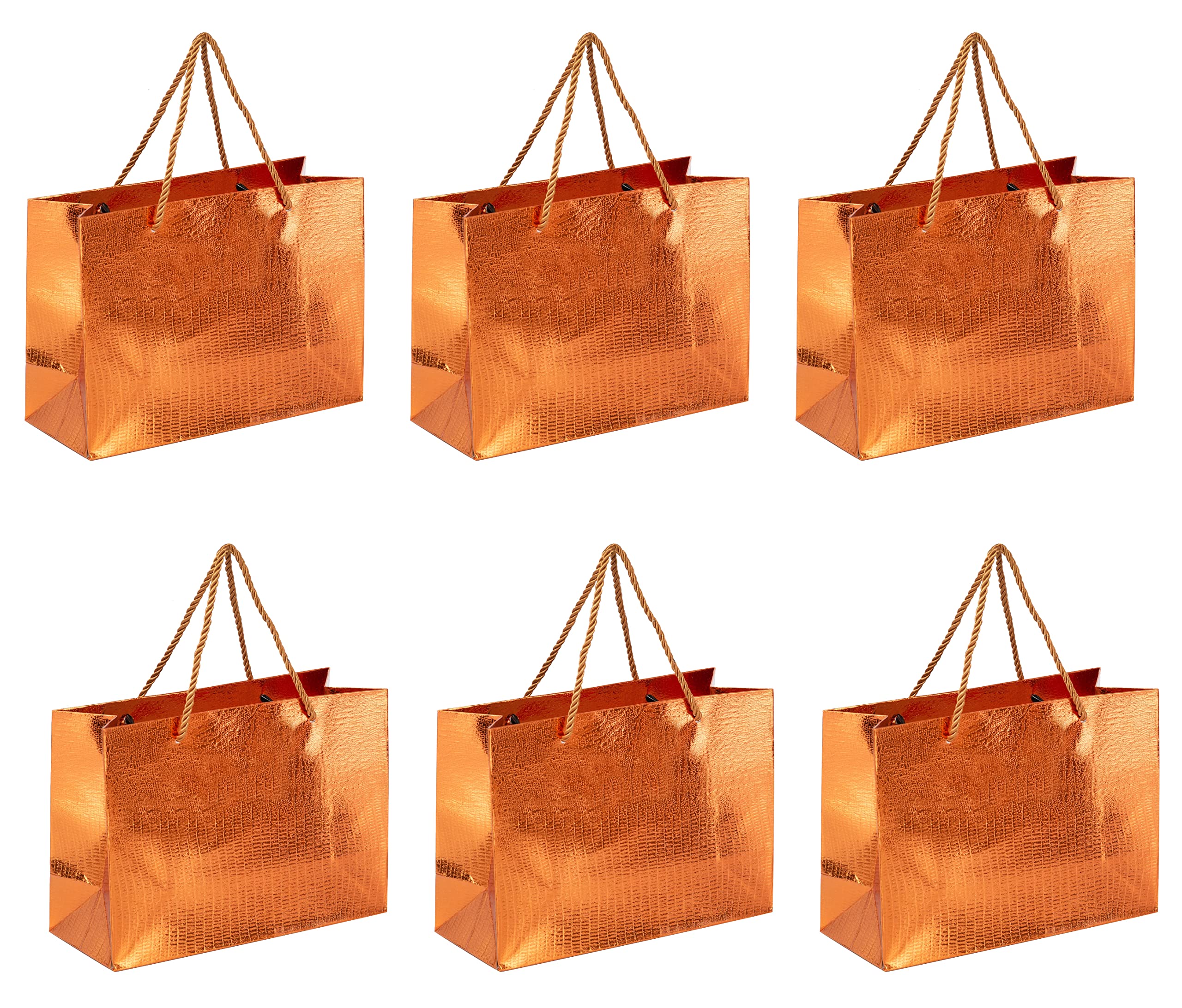 SATYAM KRAFT 6 Pcs Paper bag Gift Paper bag, Carry Bags, gift bag with Dori Handle for Gifting,marriage Return Gifts, Birthday, Christmas Gift, Wedding, Xmas, Party, Festivals, Seasons Greeting(Large) (B0BN69NZJG) Amazon Price History, Amazon Price Tracker