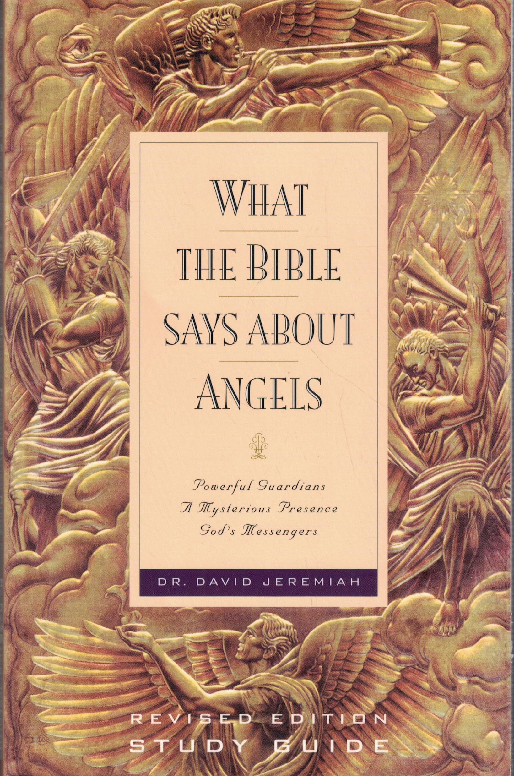 Buy What the Bible Says about Angels: Powerful Guardians a Mysterious Presence God's Messengers โ BookShops.in