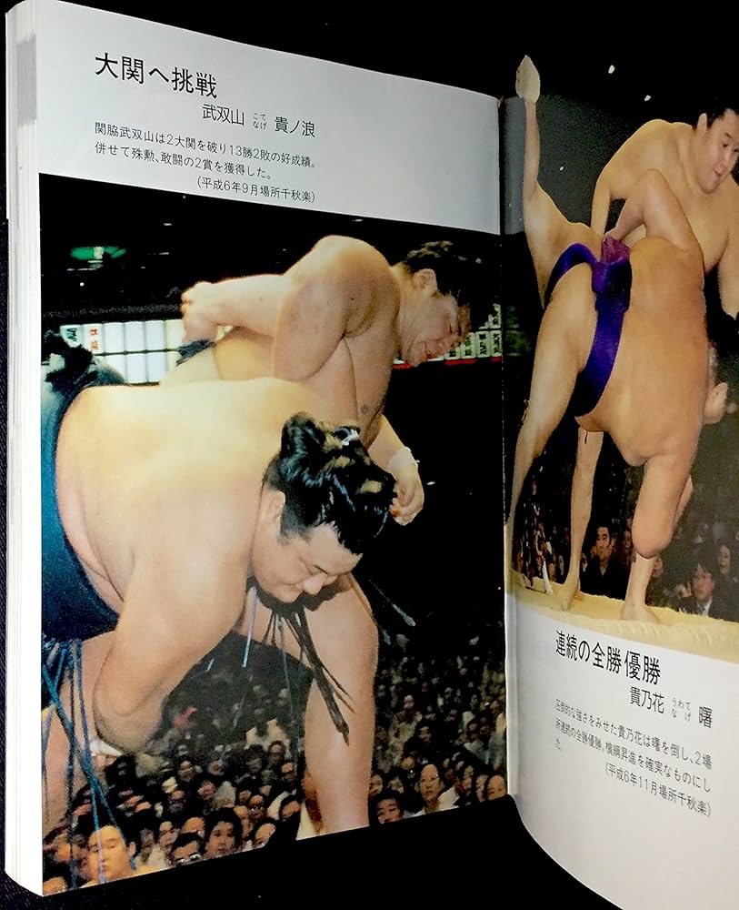 大相撲力士名鑑 平成7年版: 平成・昭和・大正・明治の歴代幕内