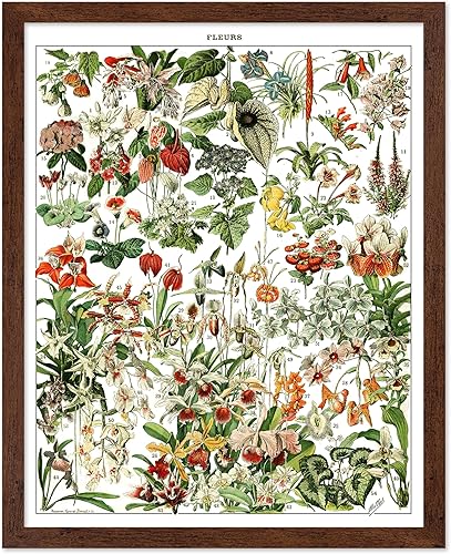 Miniatura 152 de Poster Master Póster vintage de orquídea, estampado de flores retro, arte de pared de plantas exóticas, arte botánico, regalo para hombres y