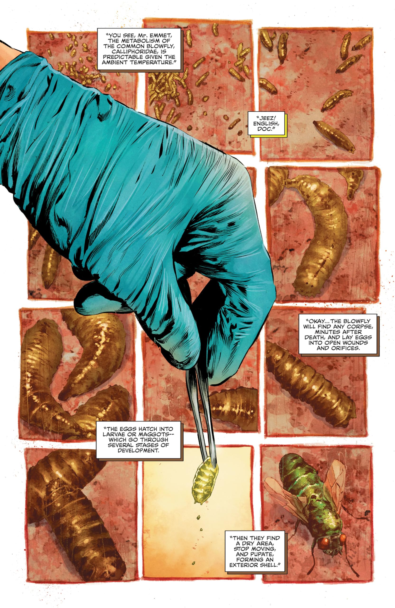 The Swamp Thing by Ram V and Mike Perkins Omnibus