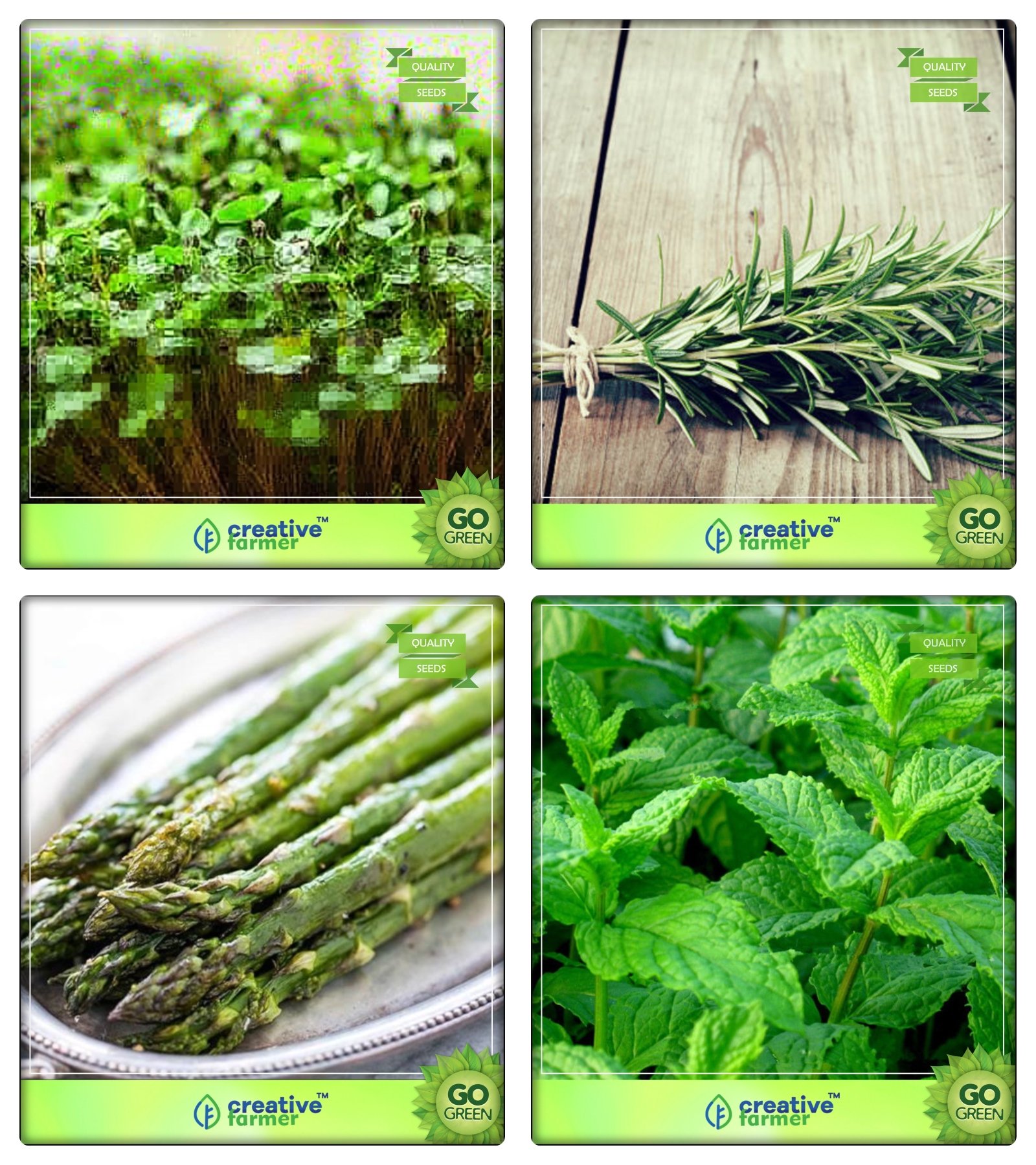 See full amazon price history chart for Creative Farmer Herbal Plant Seeds Cress Common, Rosemary, Asparagus, Mint Herb Seeds Combo Pack Creative Farmer Herbal Plant Seeds Cress Common, Rosemary, Asparagus, Mint Herb Seeds Combo Pack (B078V4G3QS) Amazon Price History, Amazon Price Tracker