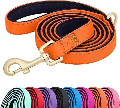 Miniatura 14 de Didog Correa para perro de nailon colorido de 5 pies con acolchado suave de longitud completa, ligera y duradera para perros pequeños, rojo, S