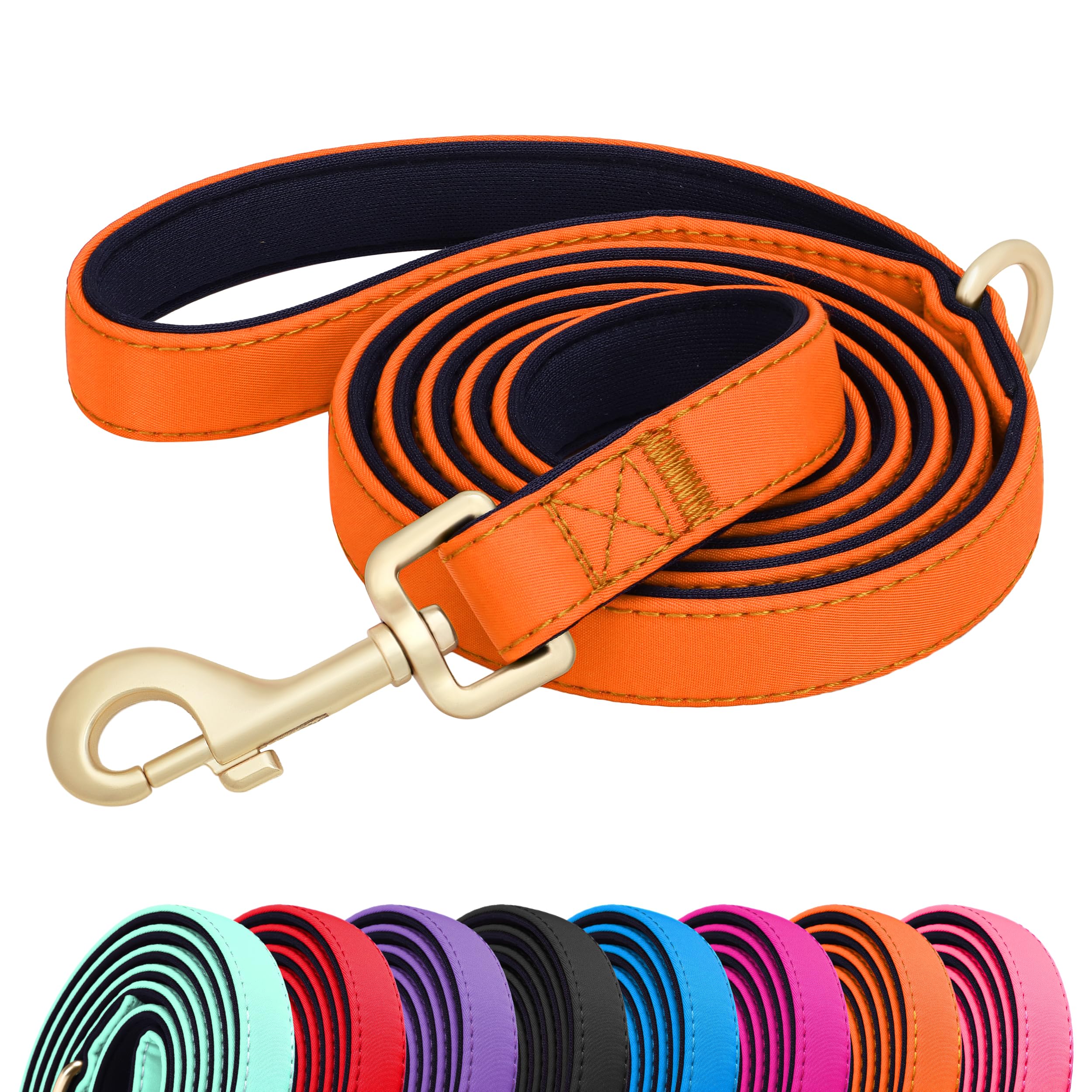 Laisse pour chien nylon Didog légère durable orange 1,5m petit chien S