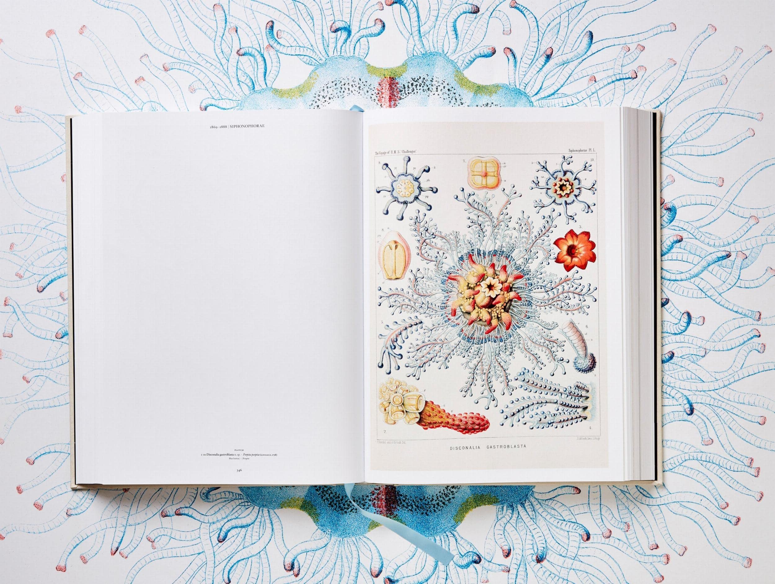 The Art and Science of Ernst Haeckel: The Complete Plates