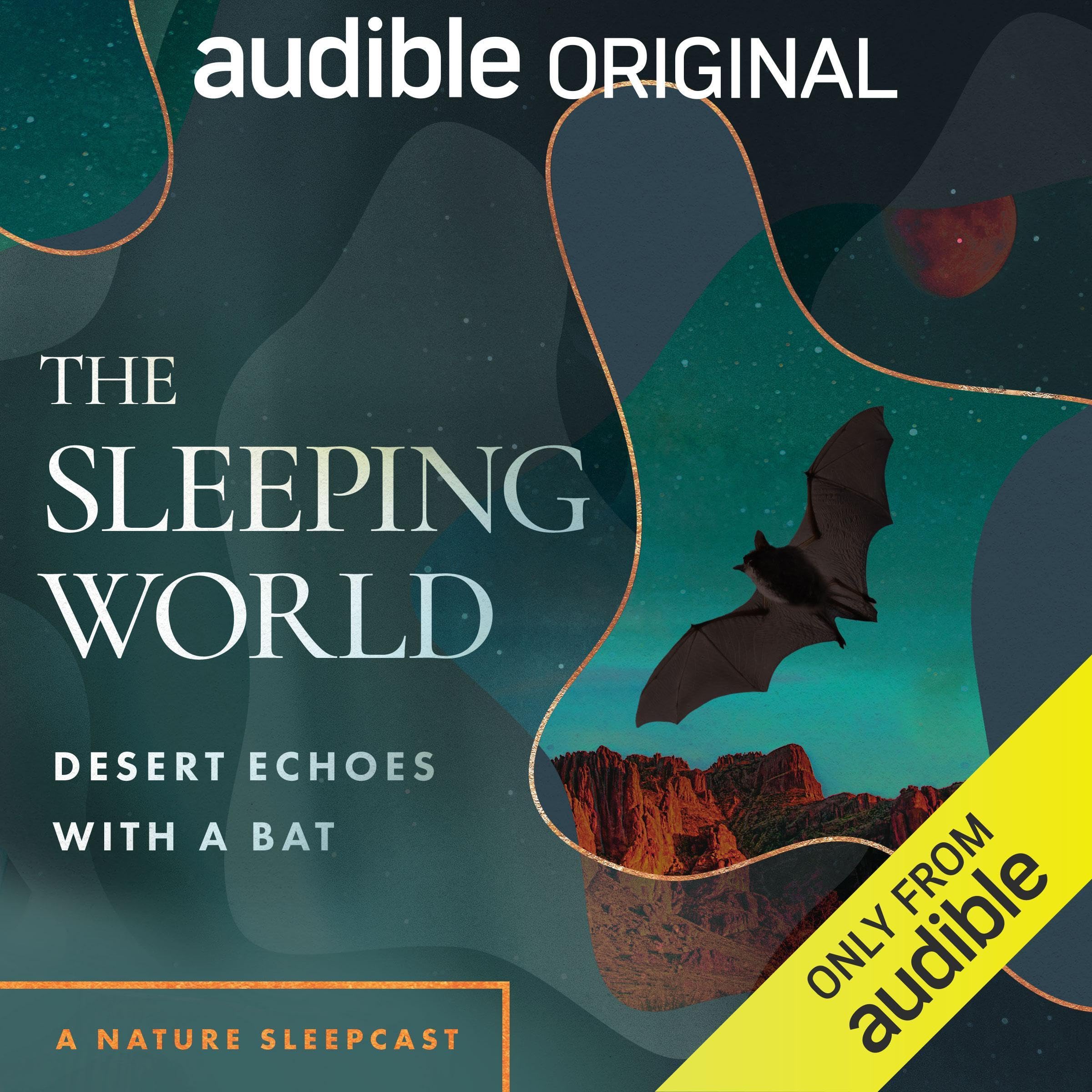 Cover art for The Sleeping World: Desert Echoes with a Bat