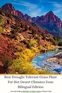 Best Drought tolerant desert grass
