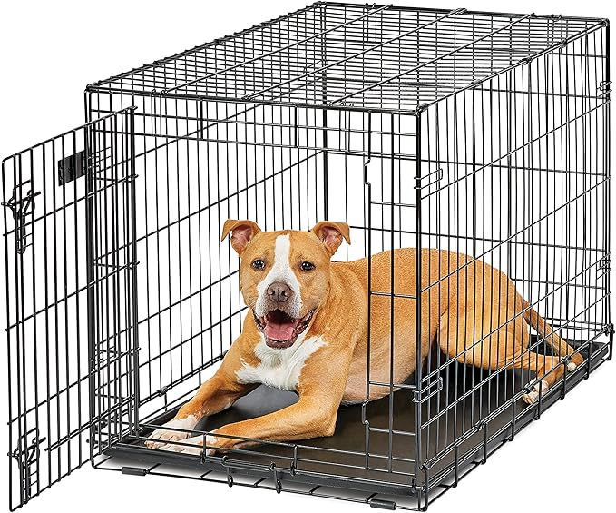 Dog Crate Midwest Life Stages 36" Folding Metal Dog Crate Divider Panel