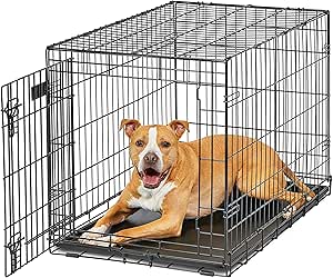 MidWest Homes for Pets Intermediate LifeStages Single Door 36-Inch Folding Dog Crate