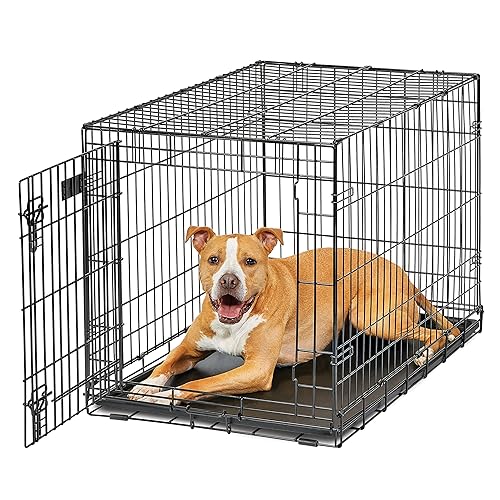 MidWest Homes for Pets Intermediate LifeStages Single Door 36-Inch Folding