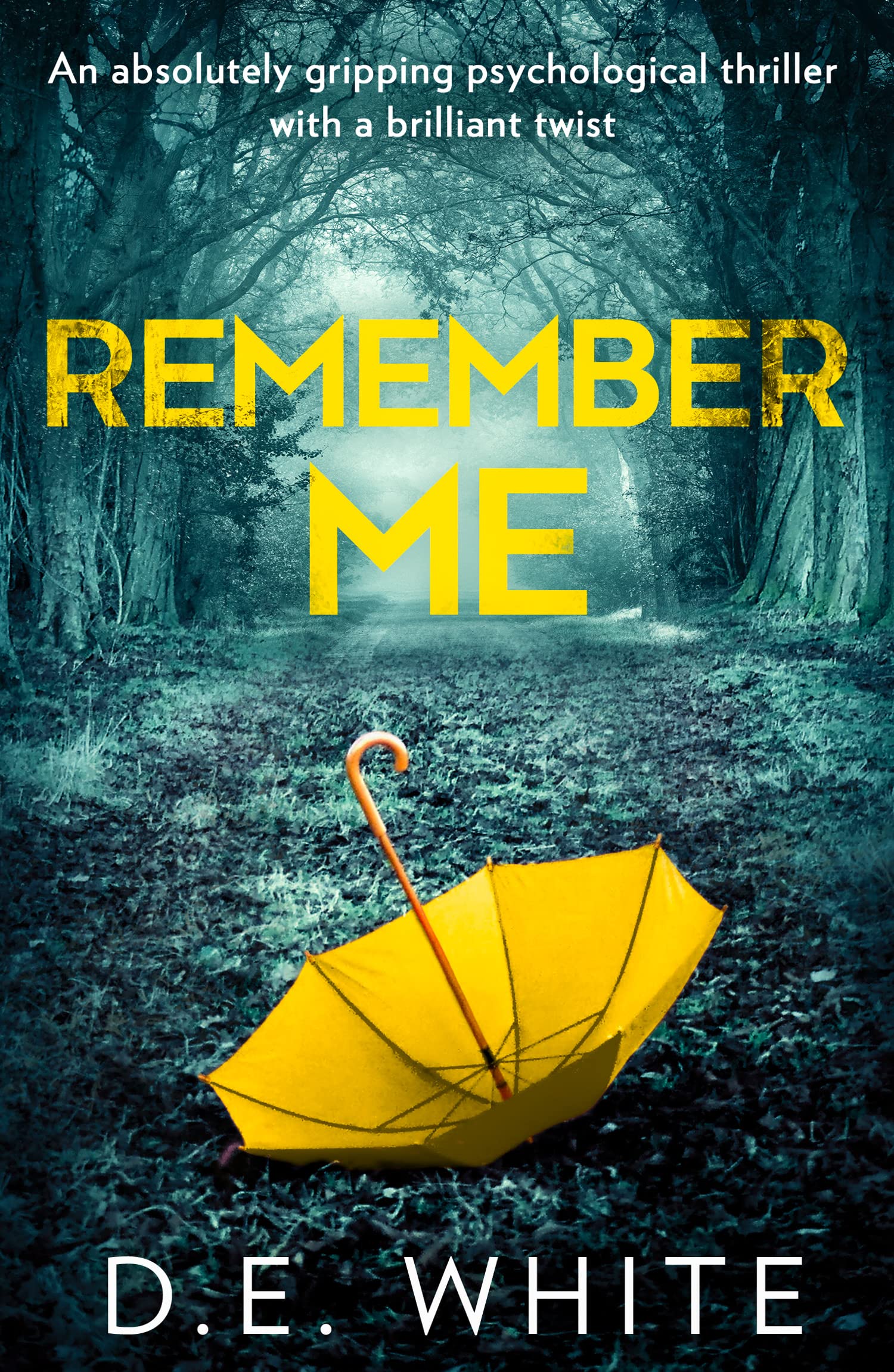 REMEMBER ME: An absolutely gripping psychological thriller with a brilliant twist