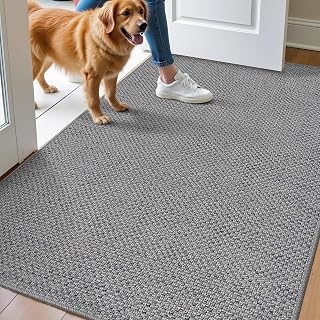 DEXI Schmutzfangmatte Innen 80 x 120 cm, rutschfest Fußmatte waschbar, absorbierend Fussmatte, Dünne Türmatte Eingangsteppich für Haustür & Flur, Grau
