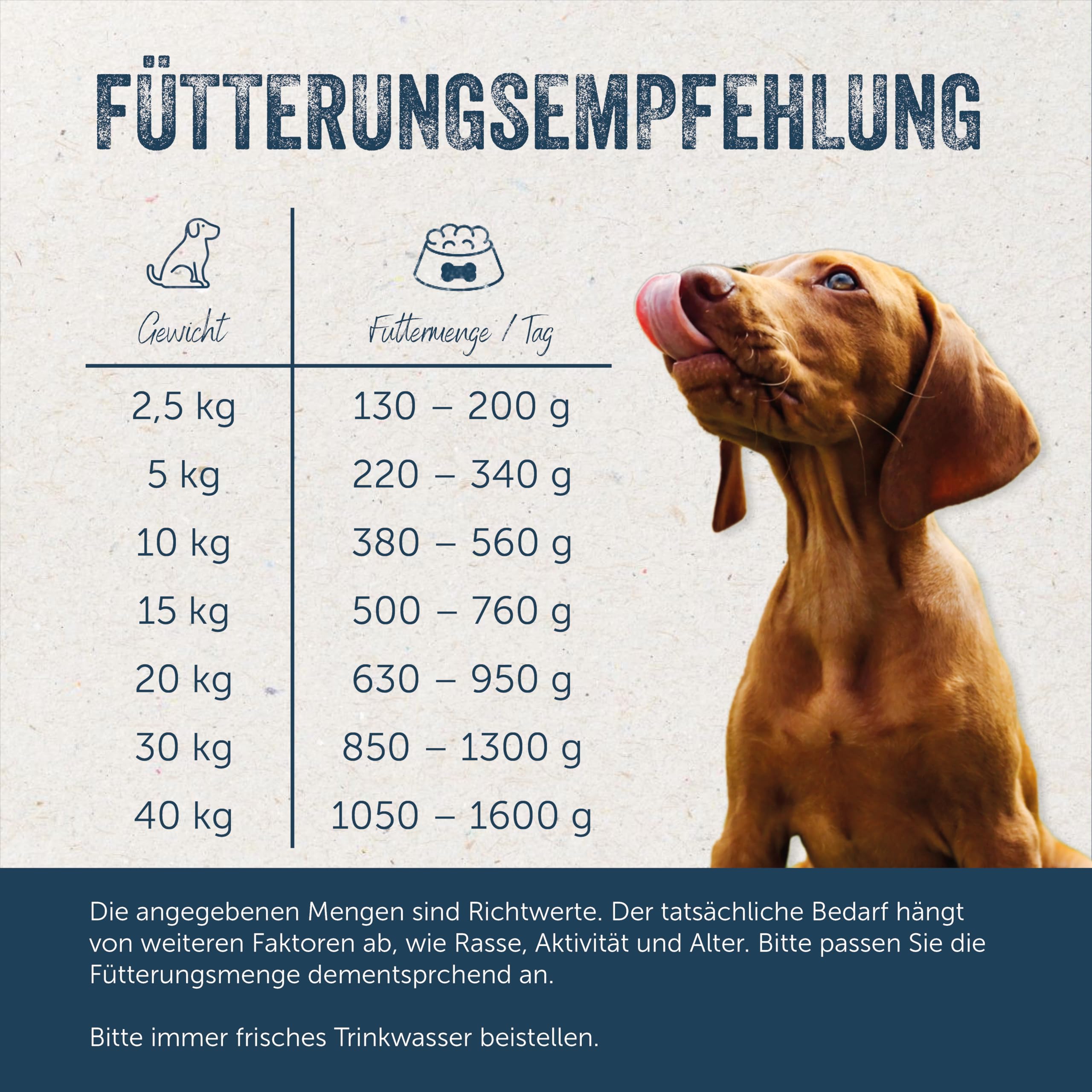 Lakefields Premium Hundefutter Nass | Rind 61% | 6 x 800g | Getreidefreies Nassfutter für Hunde | Natürliche Zutaten in Lebensmittelqualität | Äpfel, Zucchini & Karotten | Schonend gegart