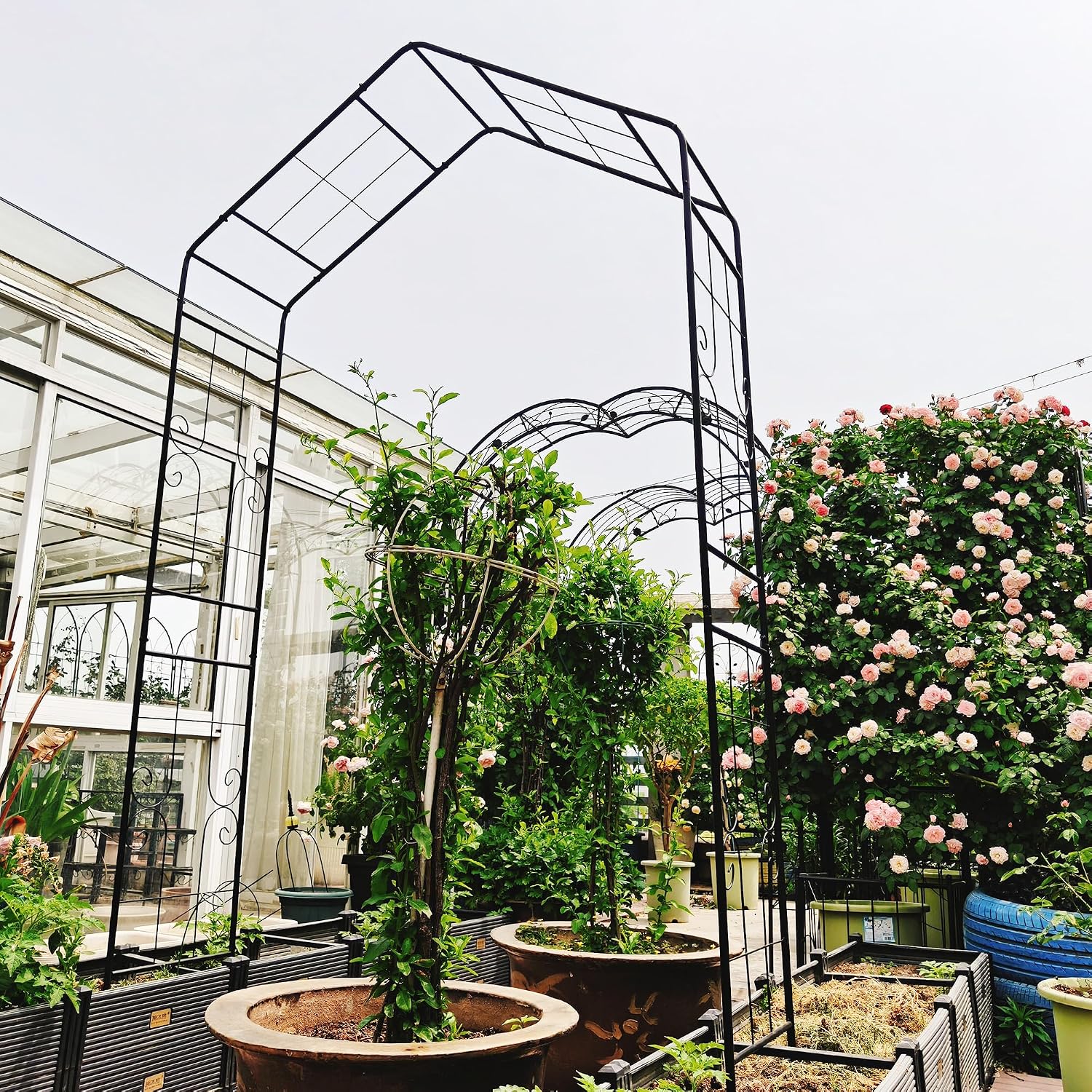 Metal Garden Arch L56.3'' x W16.93'' x H94.5'' Garden Arbor Trellis for Climbing Plants Support Rose Arch Outdoor, Roses, Vines, Flowers, and Vegetables