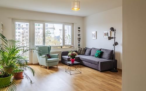 Living Room Design Ideas