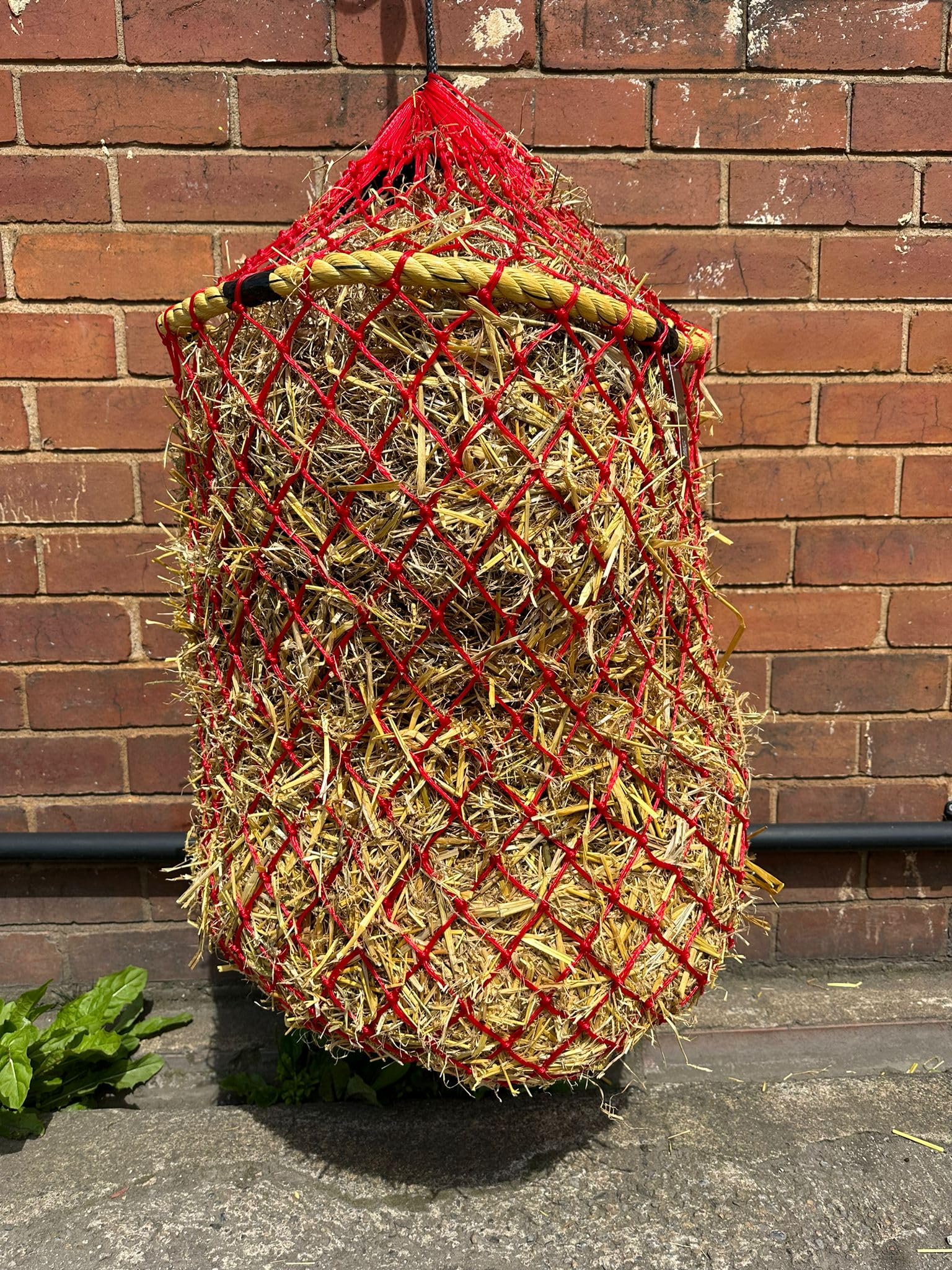 Equipride Easy Fill Haynet for Horse Greedy Net Extra Strong Natural Fiber Frame (Red/Black)