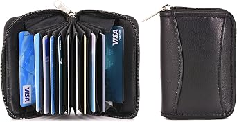 Ashlin SANTO Unisex Accordion Card Wallet