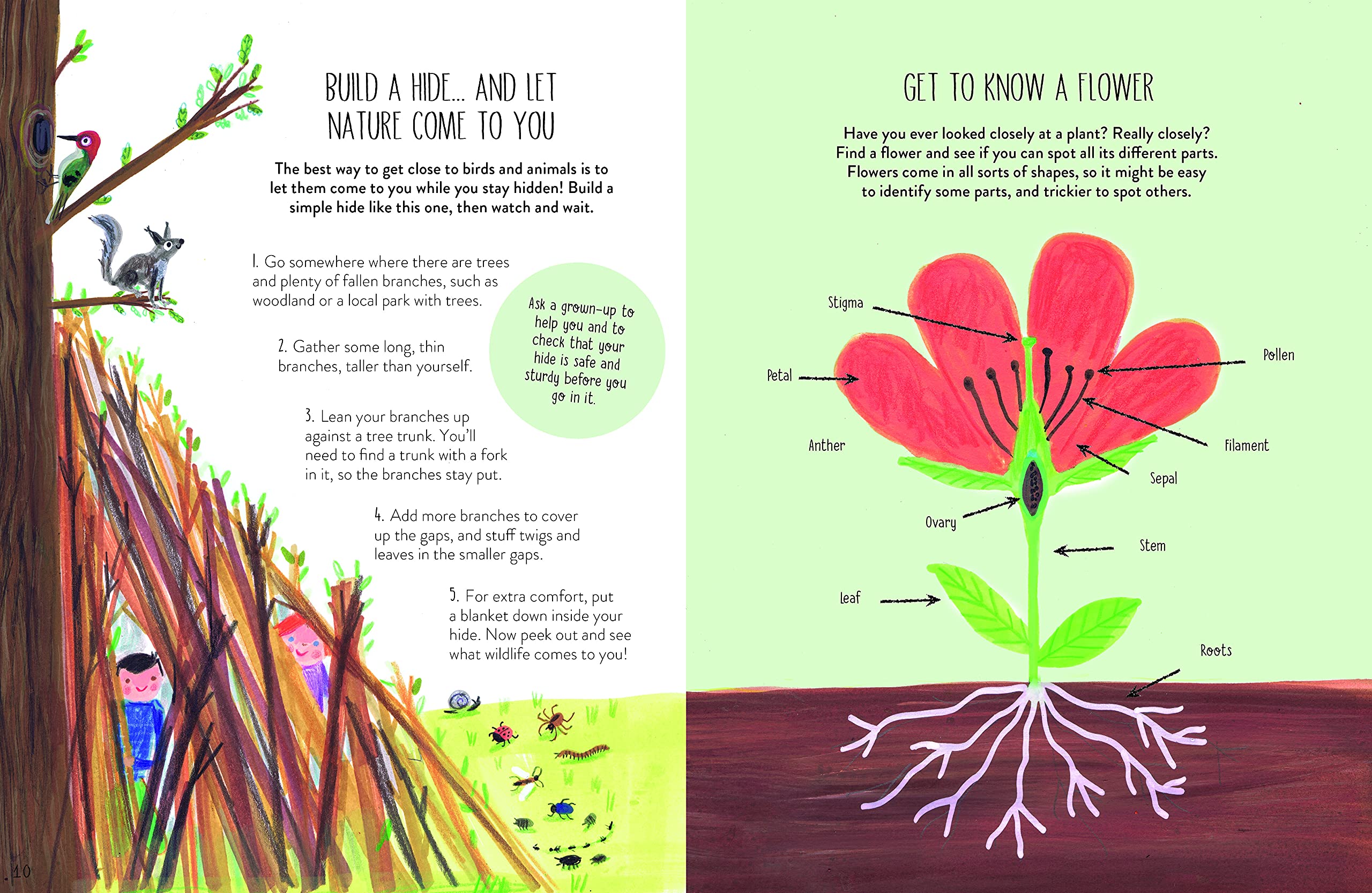 A Friend to Nature: Activities and Inspiration to Connect With the Wild World - Image 3