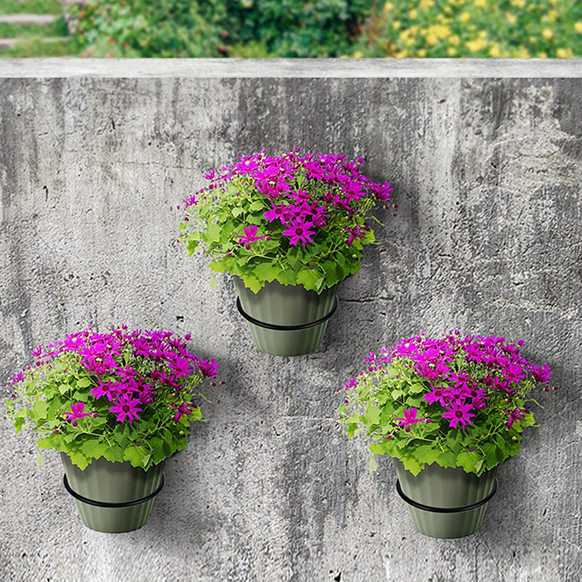 Paquete de 6 anillos de soporte para macetas de 6 pulgadas, gancho de metal para colgar plantas, soporte de pared para maceta, color negro 6
