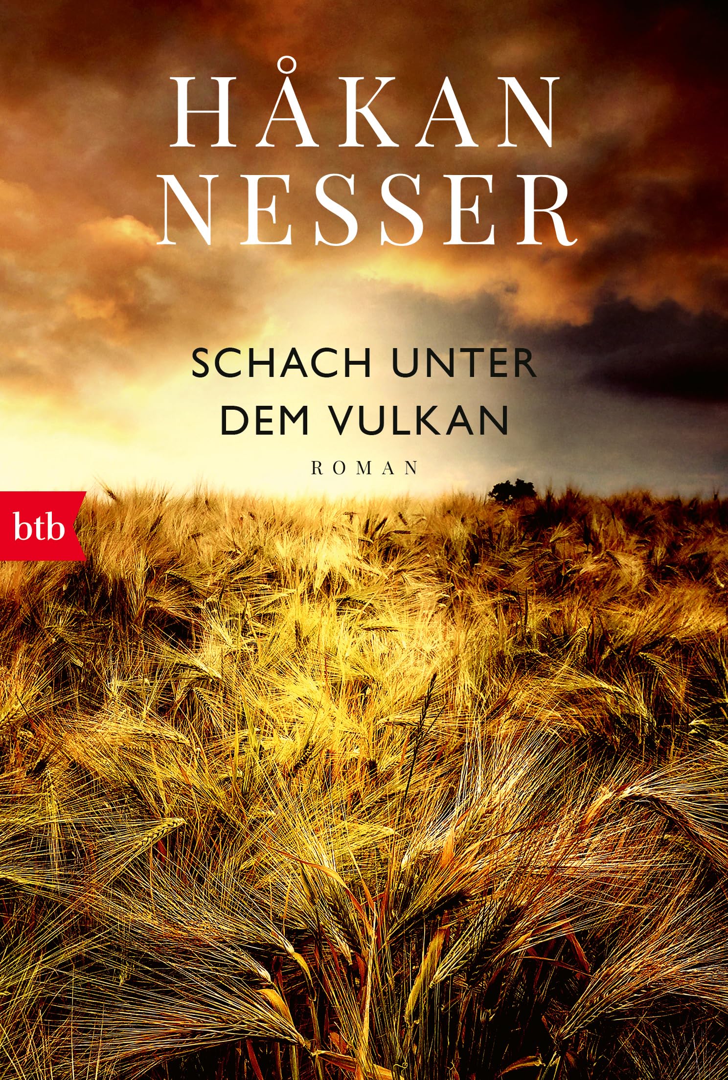Schach unter dem Vulkan: Roman