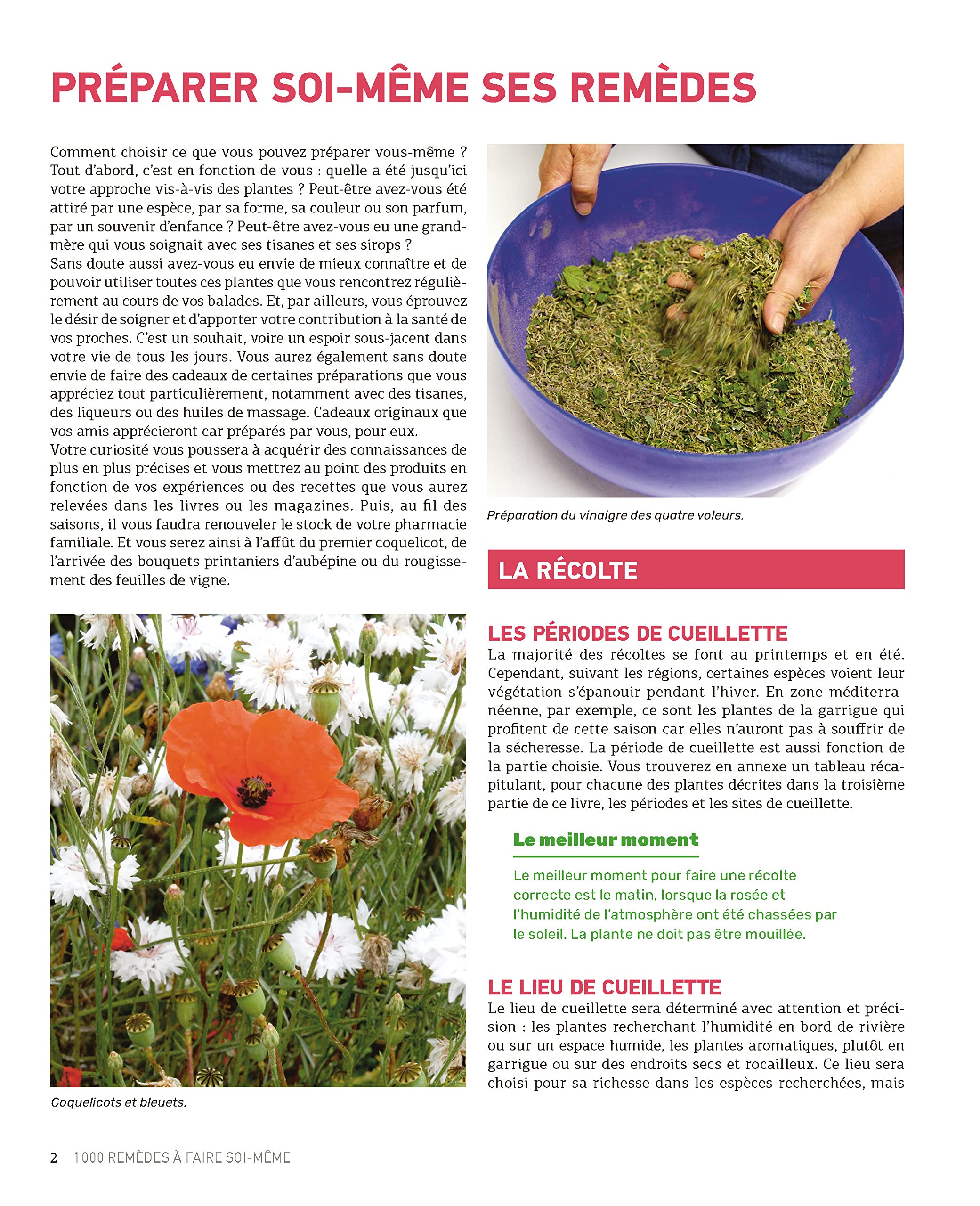 Le guide Terre Vivante 1000 remèdes à faire soi-même: Teintures mères - Macérats - Baumes- Lotions - Sirops - Tisanes...