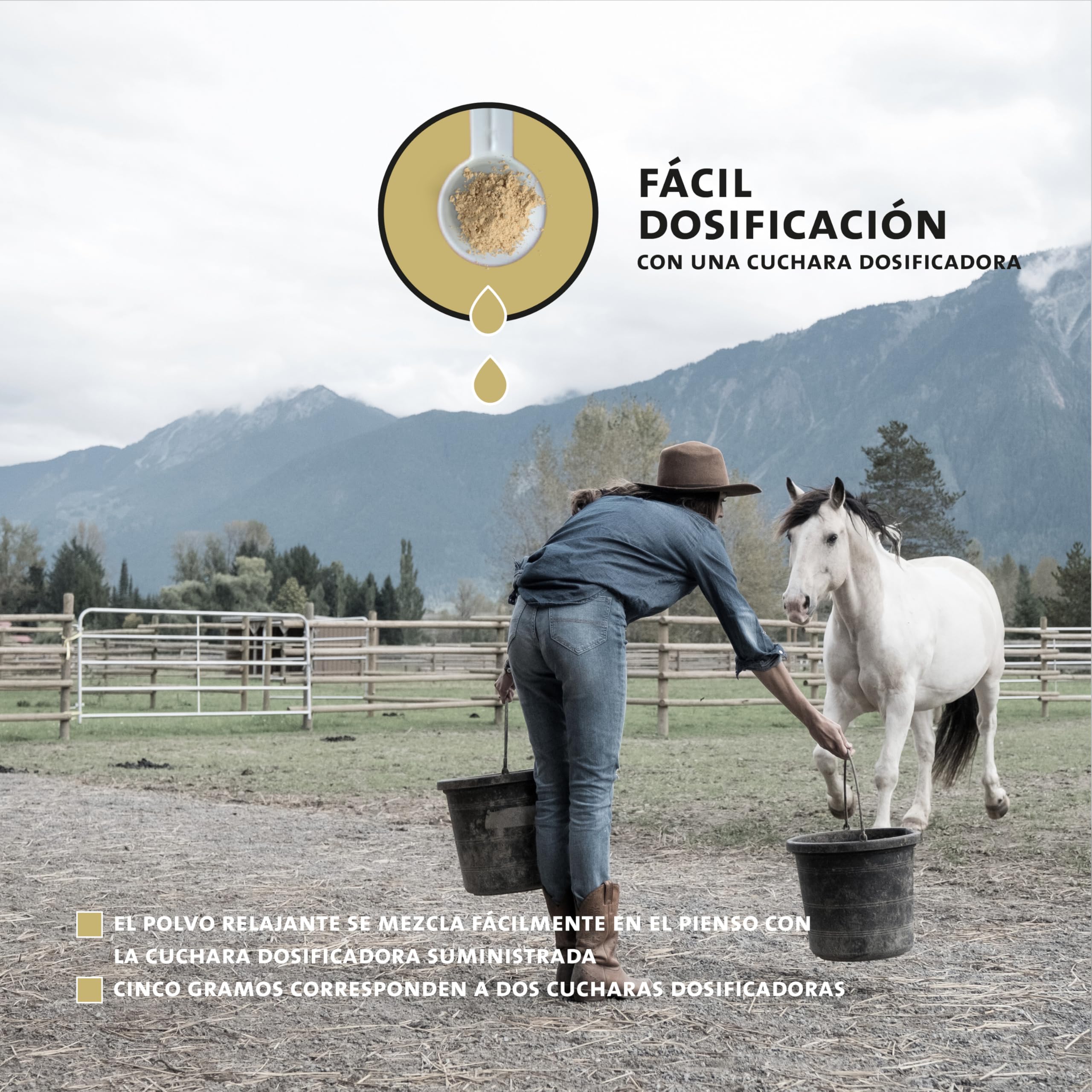 Peticare Relax-Mix Polvo para Caballos | Suplemento alimenticio calmante | Ingredientes Naturales, con valeriana y ashwagandha | Alivio del estrés y relajación | petHorse Health 4601