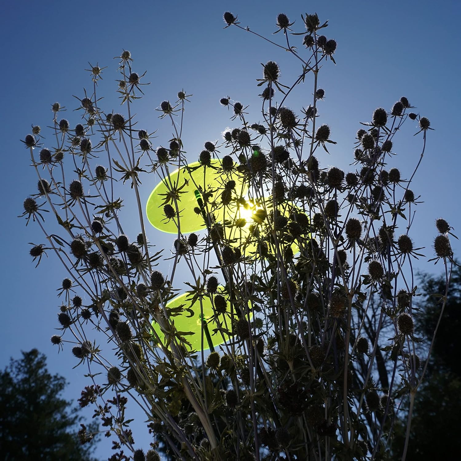 Glowing Sun Discs Set of 3 Sun Catcher Garden Decor Large Garden Stake 75cm, 29.5 inches high Indoor Outdoor Yard Accessory Gardeners Gift, Colour:Fluorescent Green