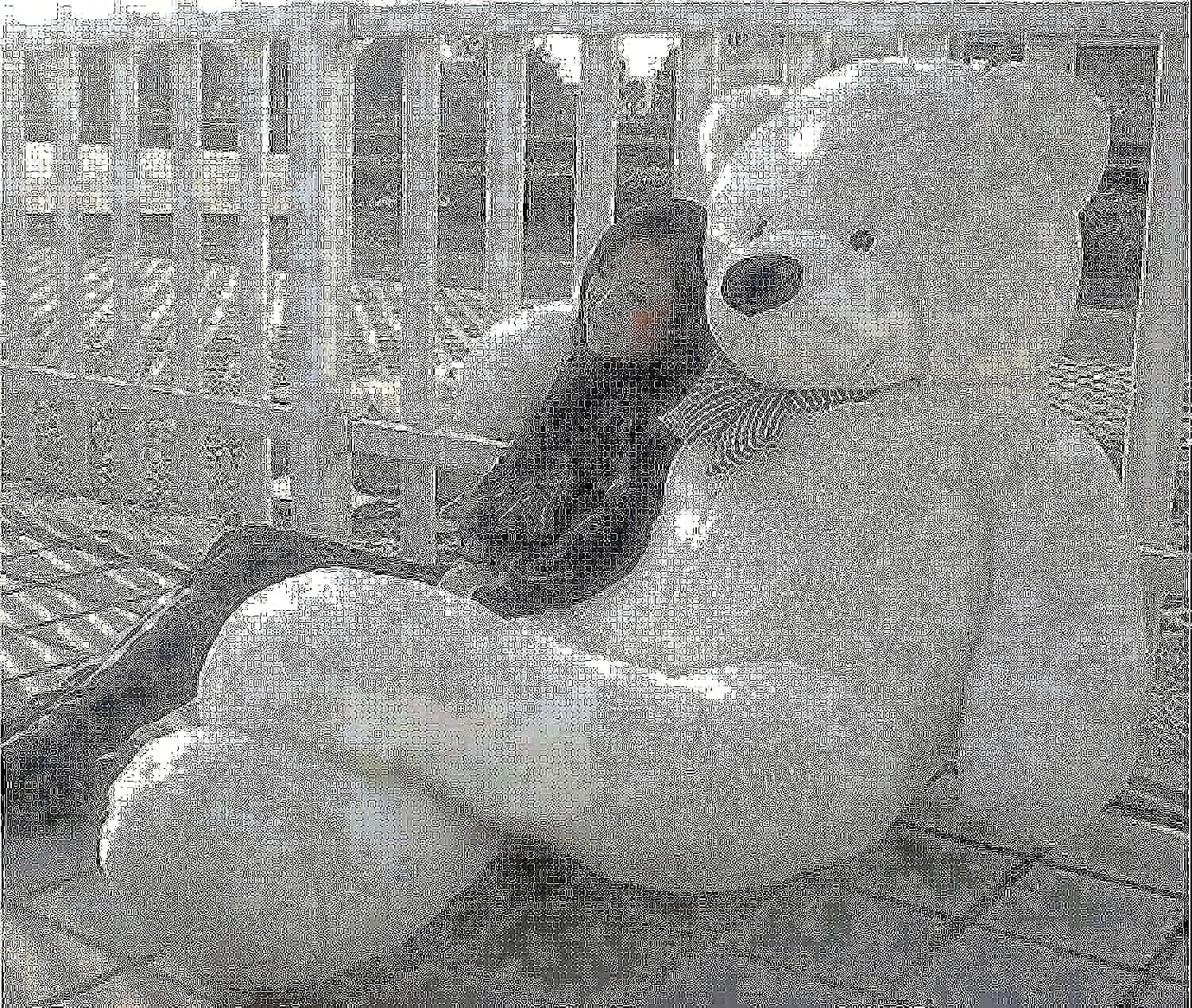 200 CM White Teddy Bear (very huge and soft)