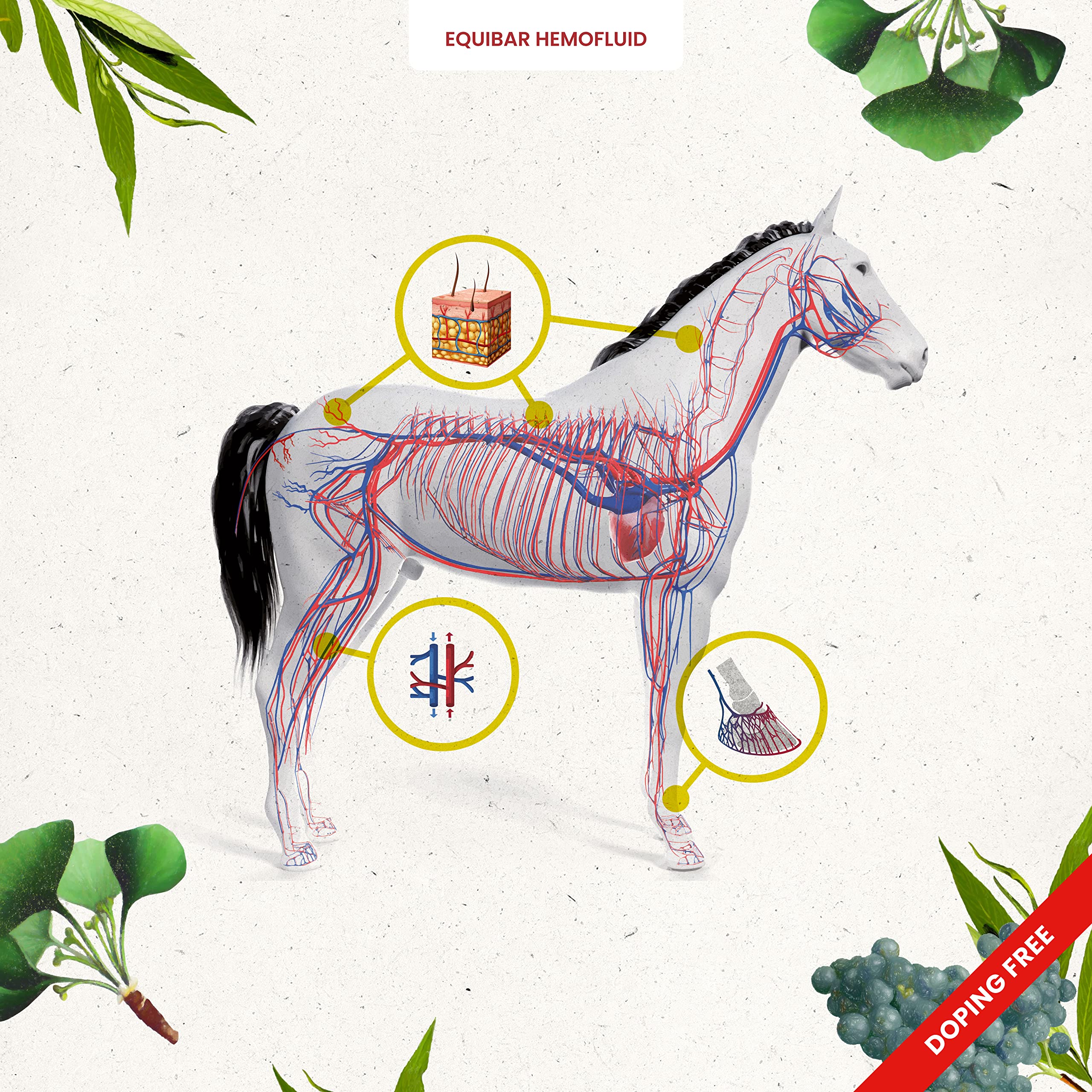 Equibar Hemofluid Barrita Natural para Soporte de microcirculación del Caballo, piernas hinchadas, Dermatitis y picaduras de Insectos, 2 kg