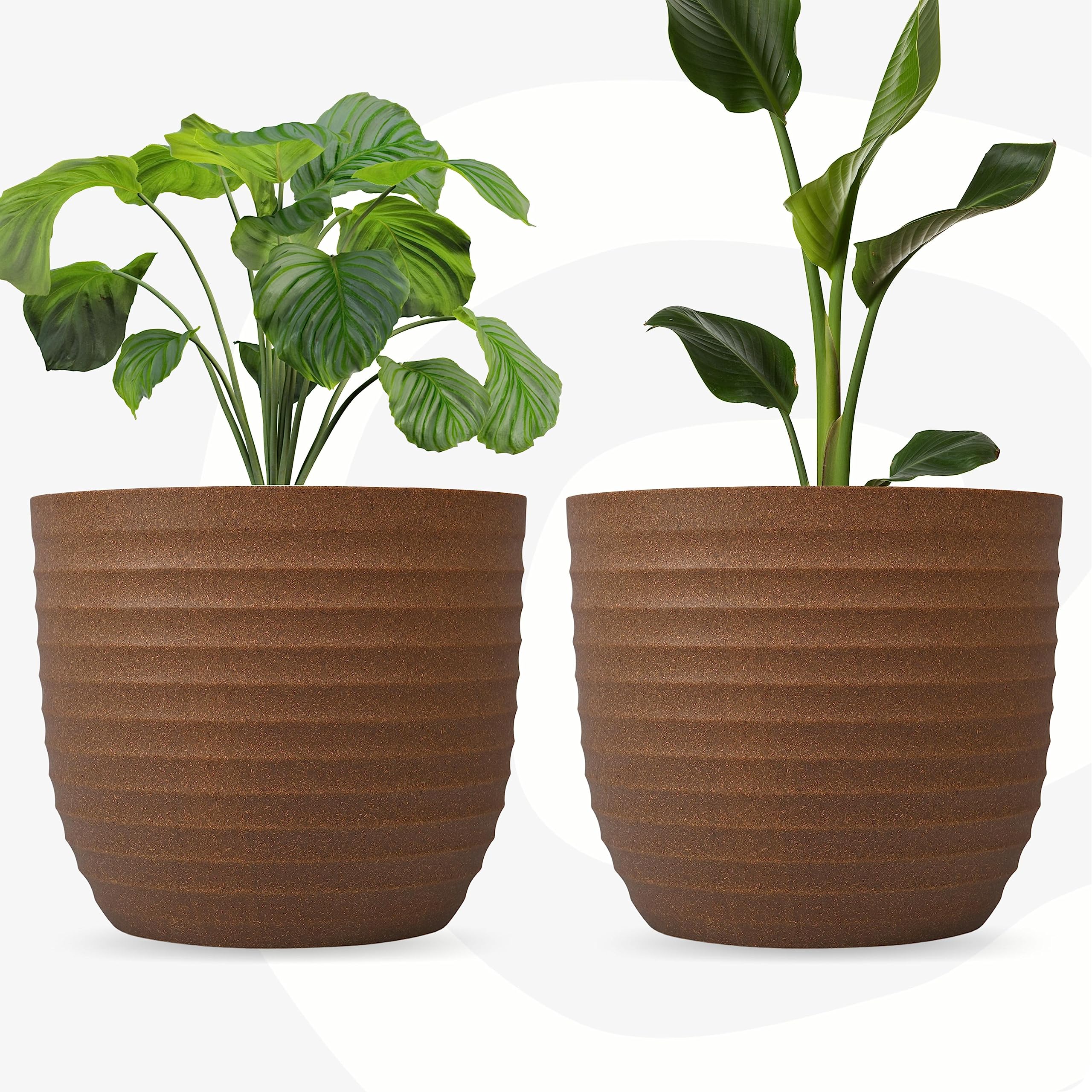 See full amazon price history chart for Eha Set of 2 Earth-Friendly 9" Verona Pots and Planters | Bamboo Based | UV Protected |Plant Pots for Indoor & Home Decor, Outdoor, Balcony & Garden | Tortilla Eha Set of 2 Earth-Friendly 9" Verona Pots and Planters | Bamboo Based | UV Protected |Plant Pots for Indoor & Home Decor, Outdoor, Balcony & Garden | Tortilla (B0CBGB852Y) Amazon Price History, Amazon Price Tracker