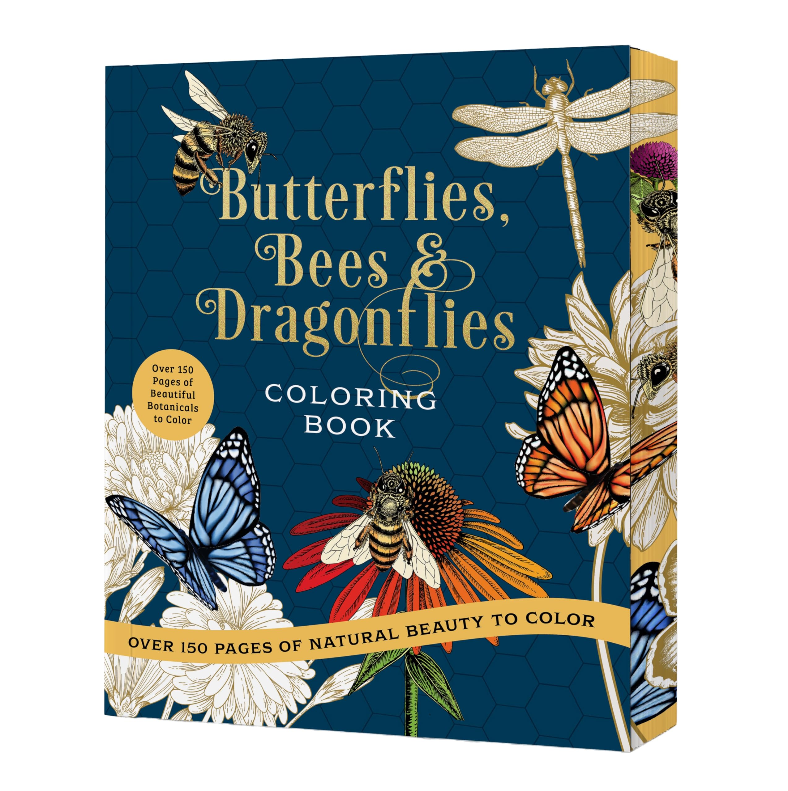 Butterflies, Bees & Dragonflies Coloring Book: Over... - Editors of Chartwell...