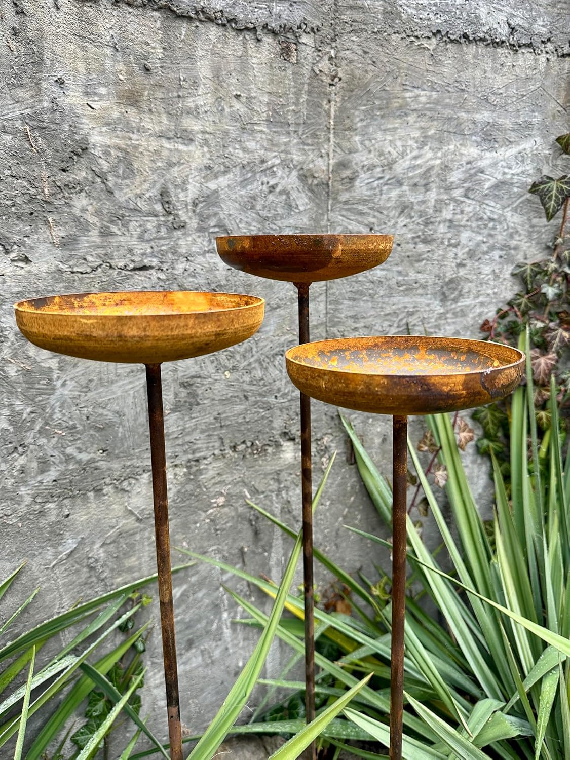Bird Bath Outdoor Garden Decor, Rusty Flower Garden Stakes, Set of Three 6” Bird Feeders, Metal Water Bowl, Yard Art, Rustic Garden Accent
