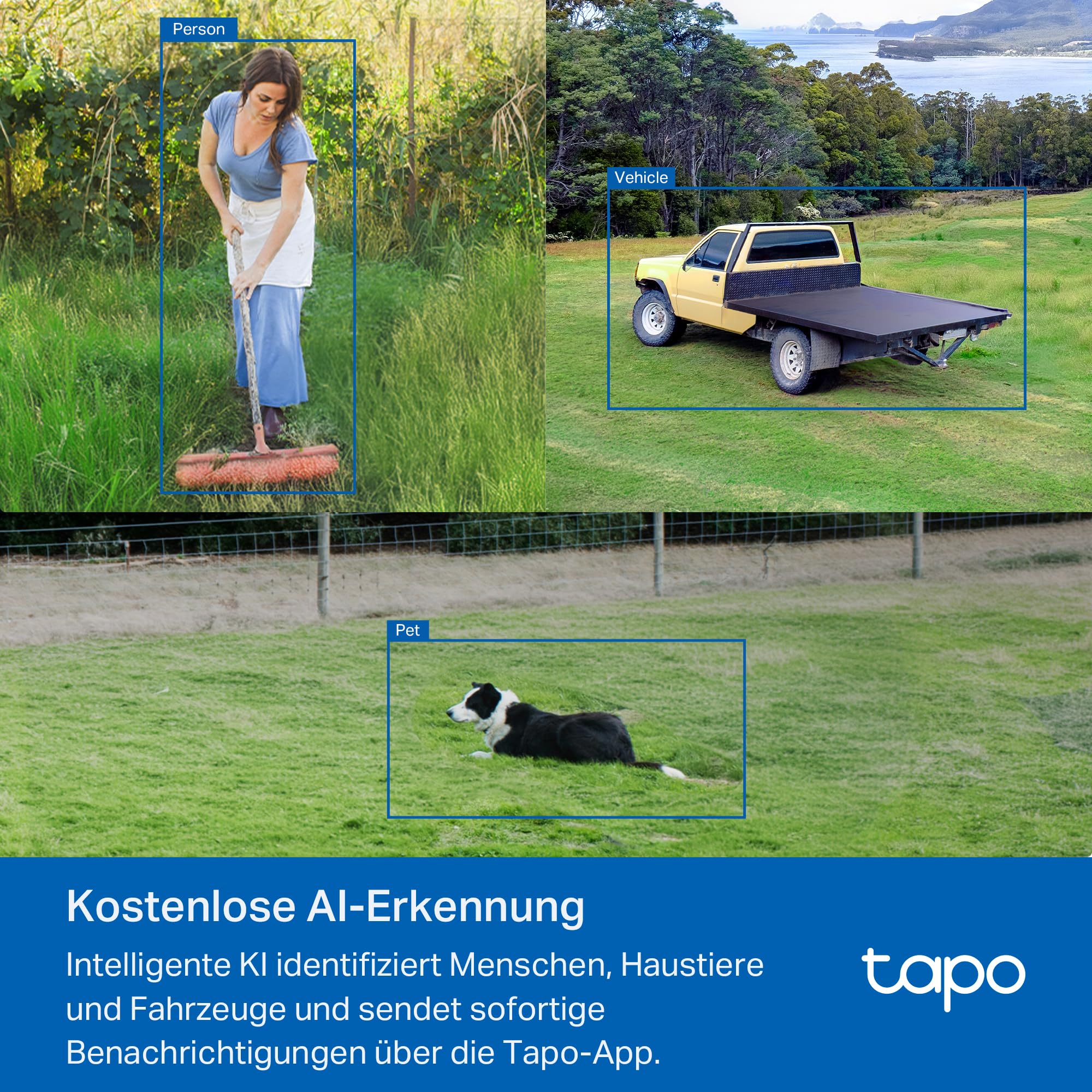 Tapo C501GW 360° 4G LTE Überwachungskamera mit SIM-Kartenslot, kein WLAN erforderlich, Starlight farbige Nachtsicht, AI-Erkennung, DC/PoE-Stromversorgung, IP66, lokaler und Cloud-Speicher, kein WLAN