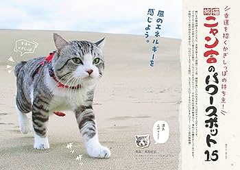 -愛と幸福を置く猫- 幸せをはこぶネコ ほんとうの自分を知って幸せになる方法 | 刀根健 |本