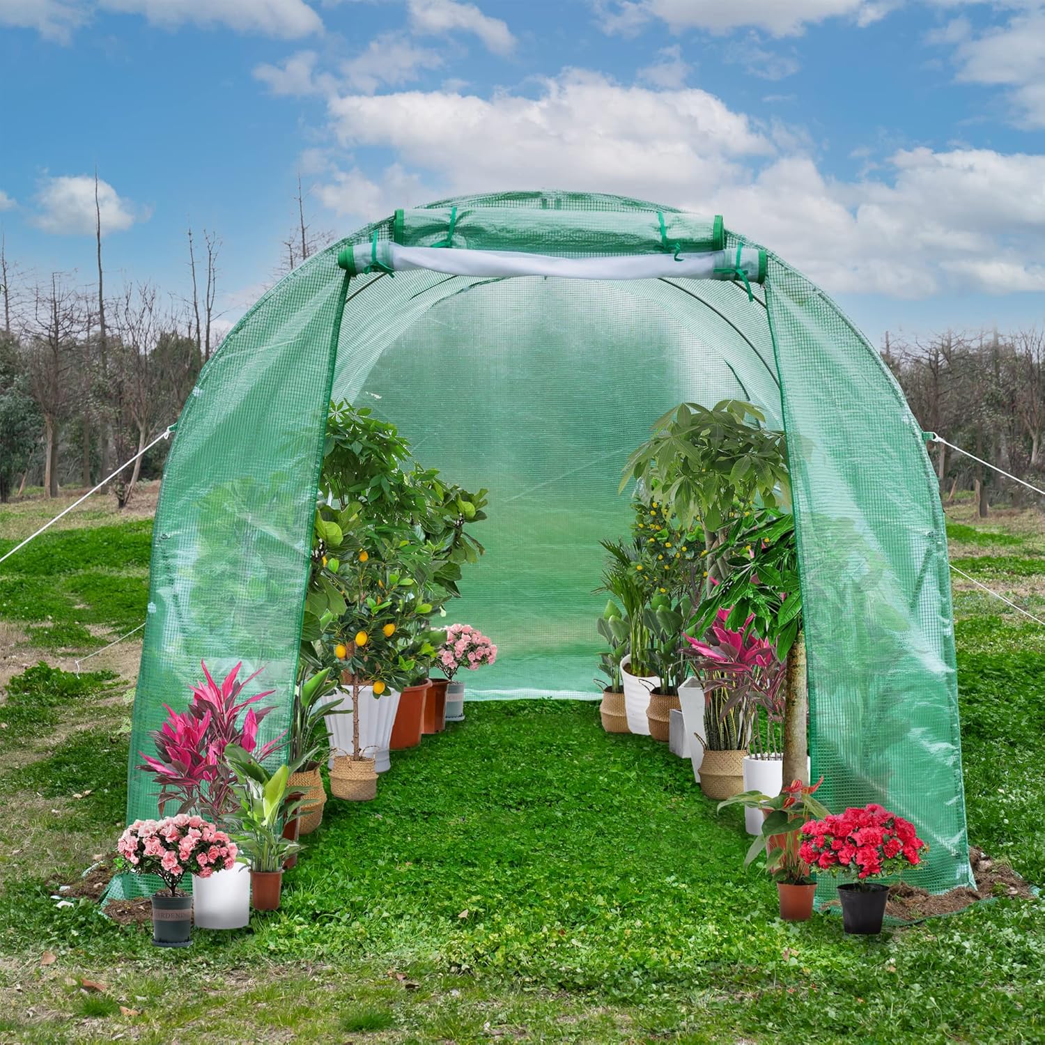 Fancihabor 15'x7'x7' Greenhouses Large Walkin Green House
