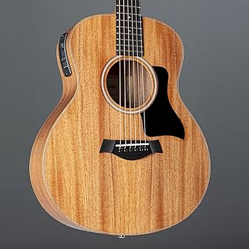 Amazon | Taylor/GS Mini-e Mahogany [チューナー内蔵3バンドEQ