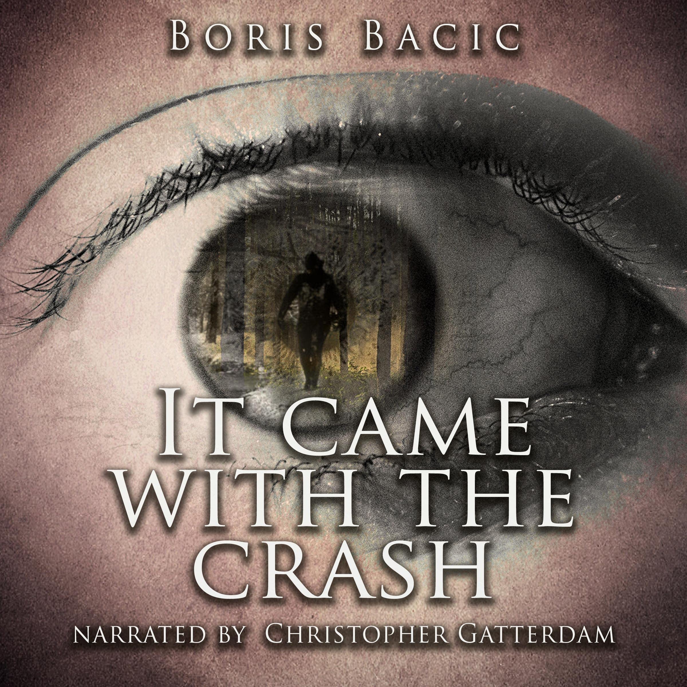 Cover art for It Came with the Crash