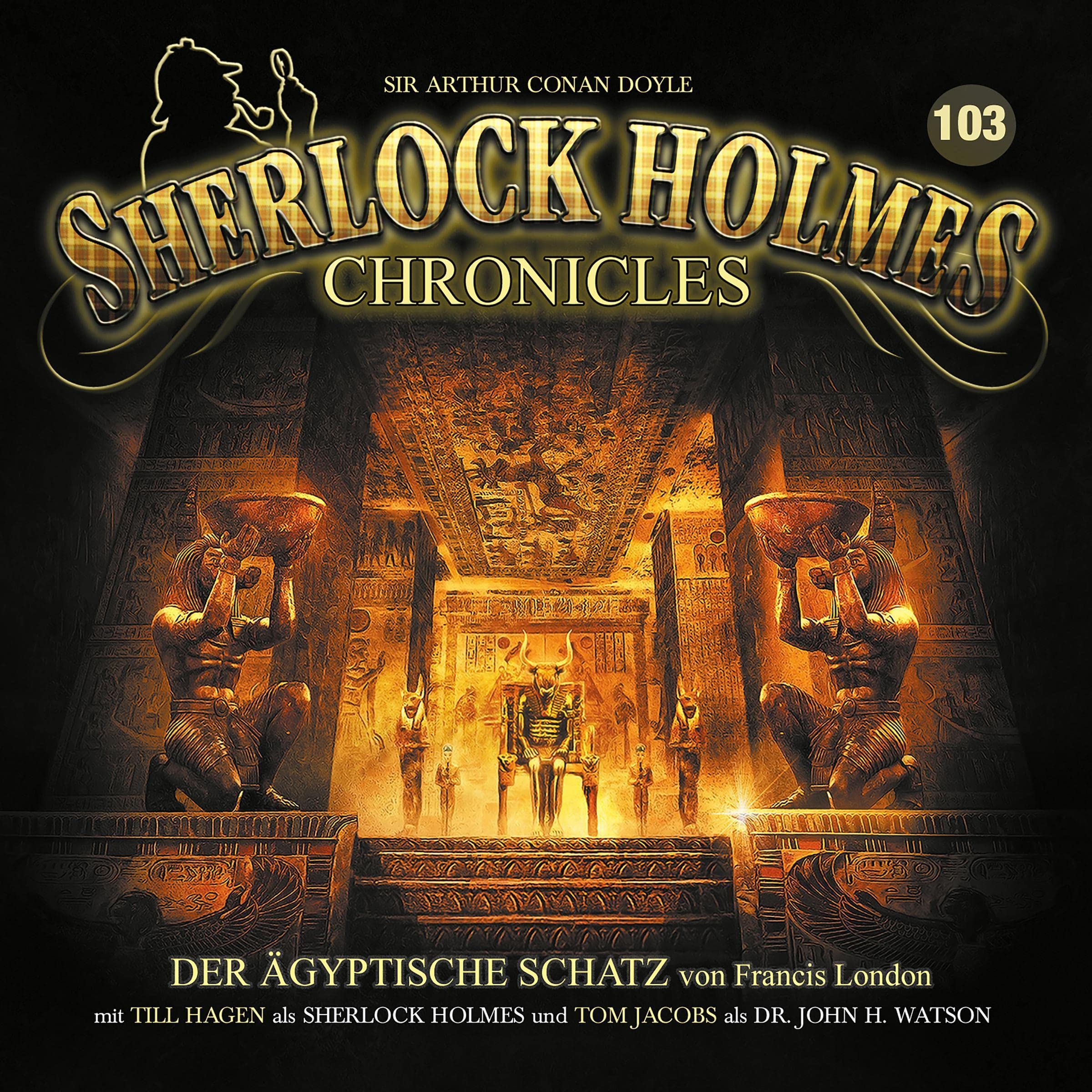 Cover art for Der ägyptische Schatz