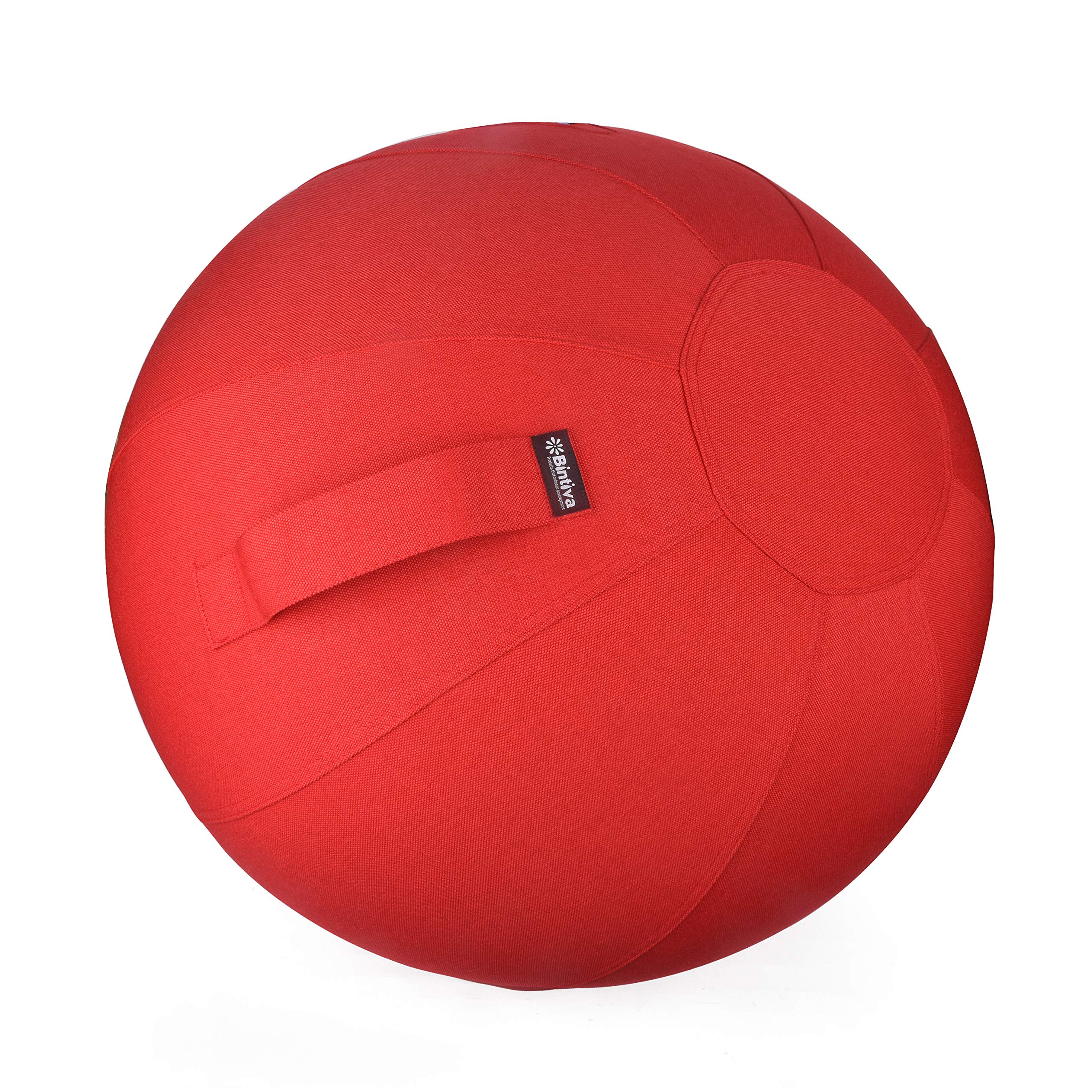 bintiva Stability Ball Chair