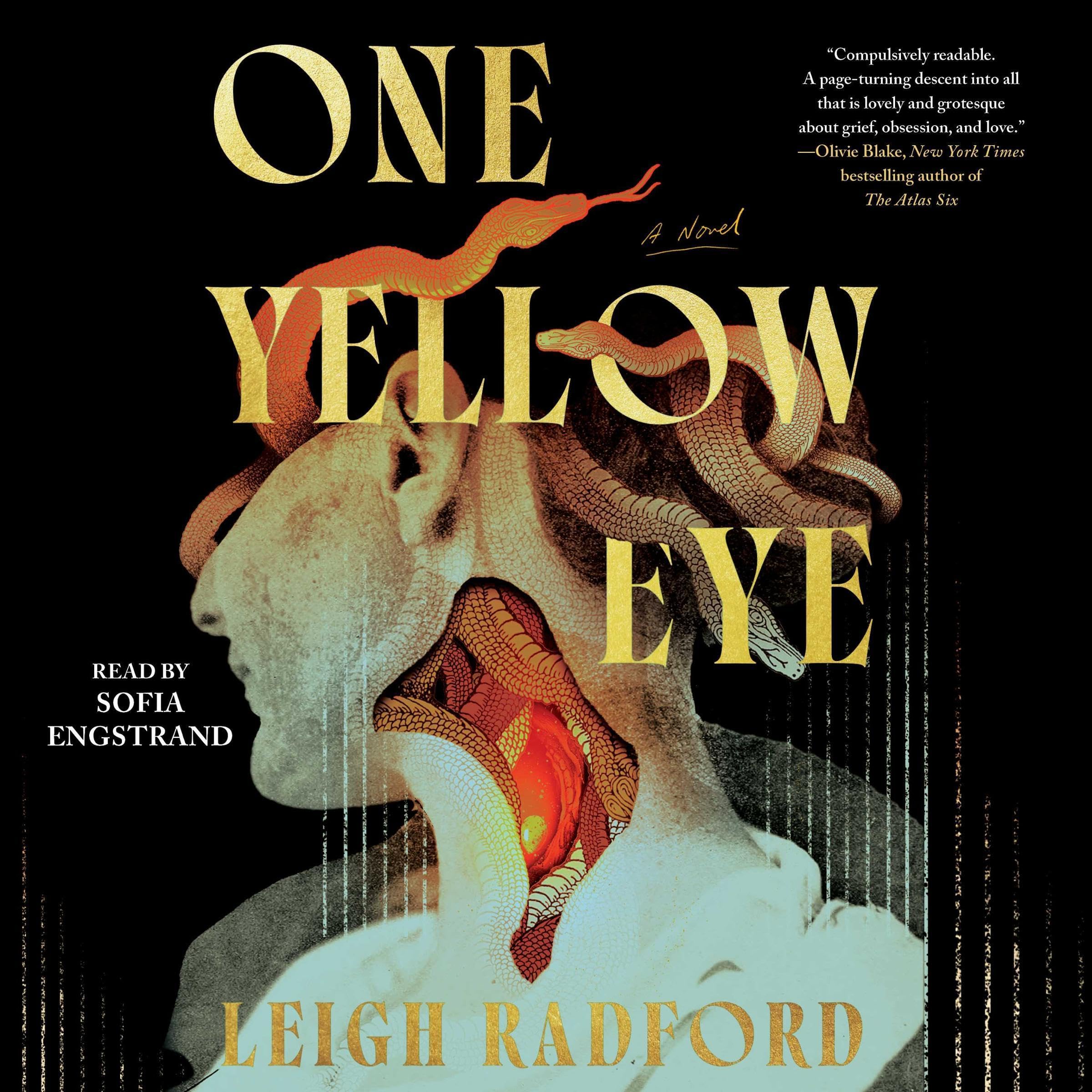 Leigh Radford One Yellow Eye