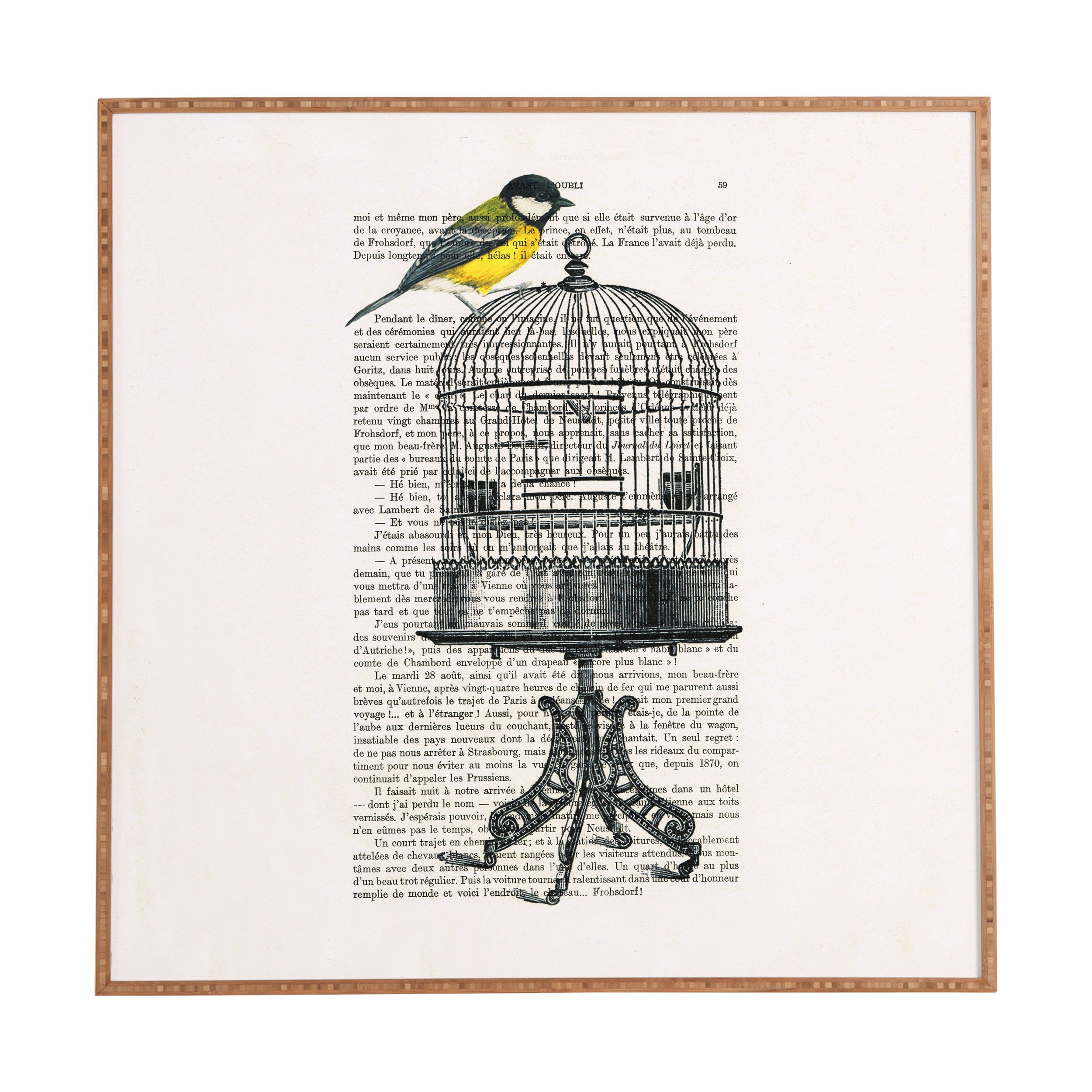 Deny Designs Coco De Paris, Bird On Birdcage, Framed Wall Art, Small, 12"x 12"