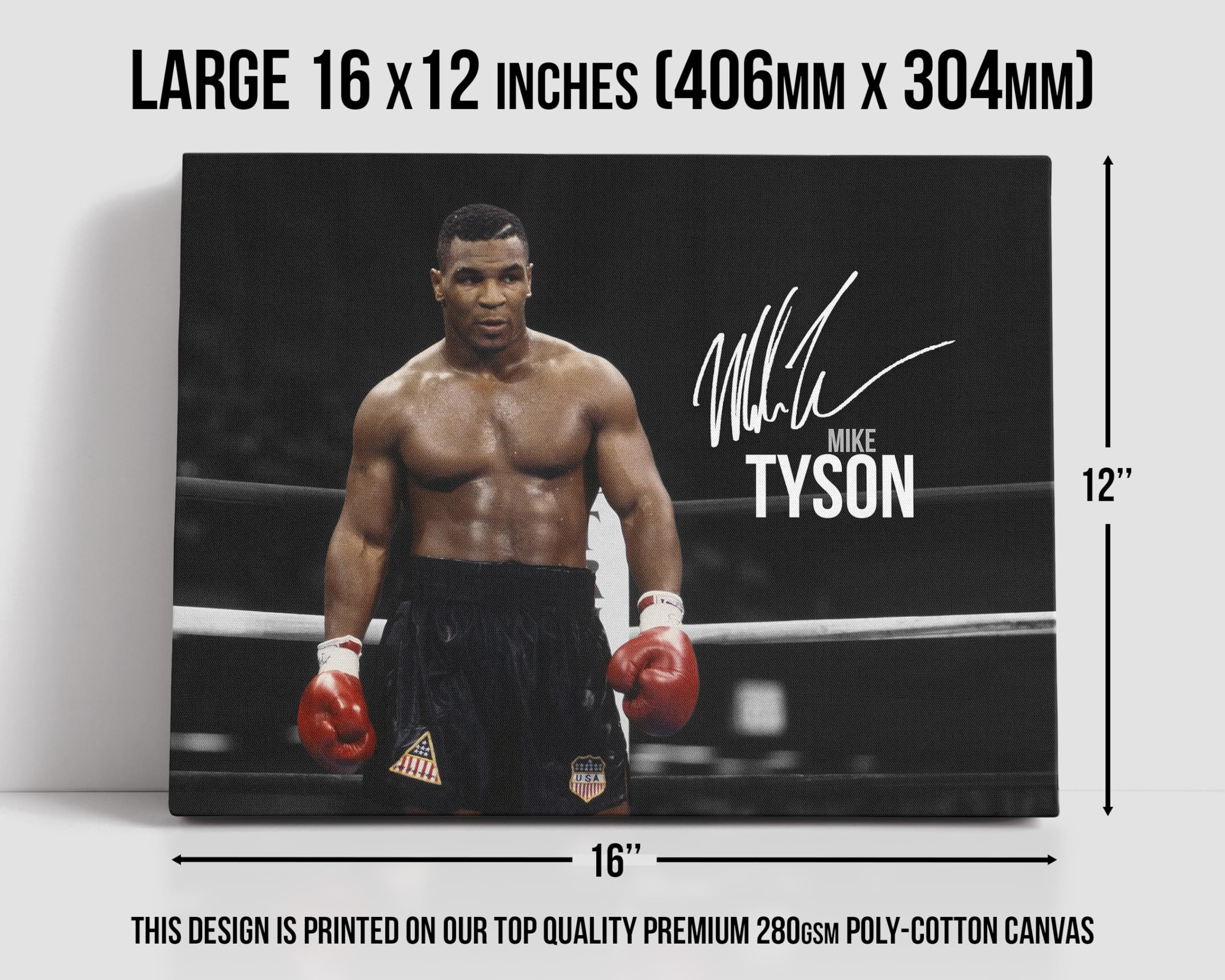 HWC Trading Stampa su tela autografata di Mike Tyson, 40,6 x 30,5 cm, per fan dei boxer, solo tela