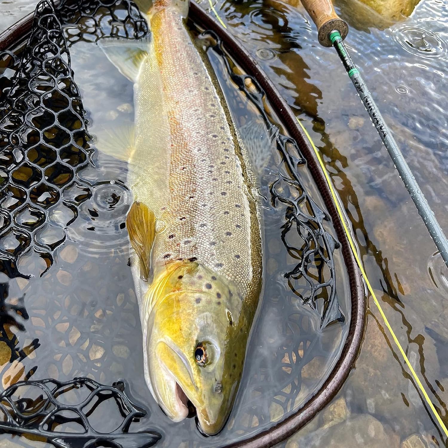 Nirvana Moksha Fly Rod with Case