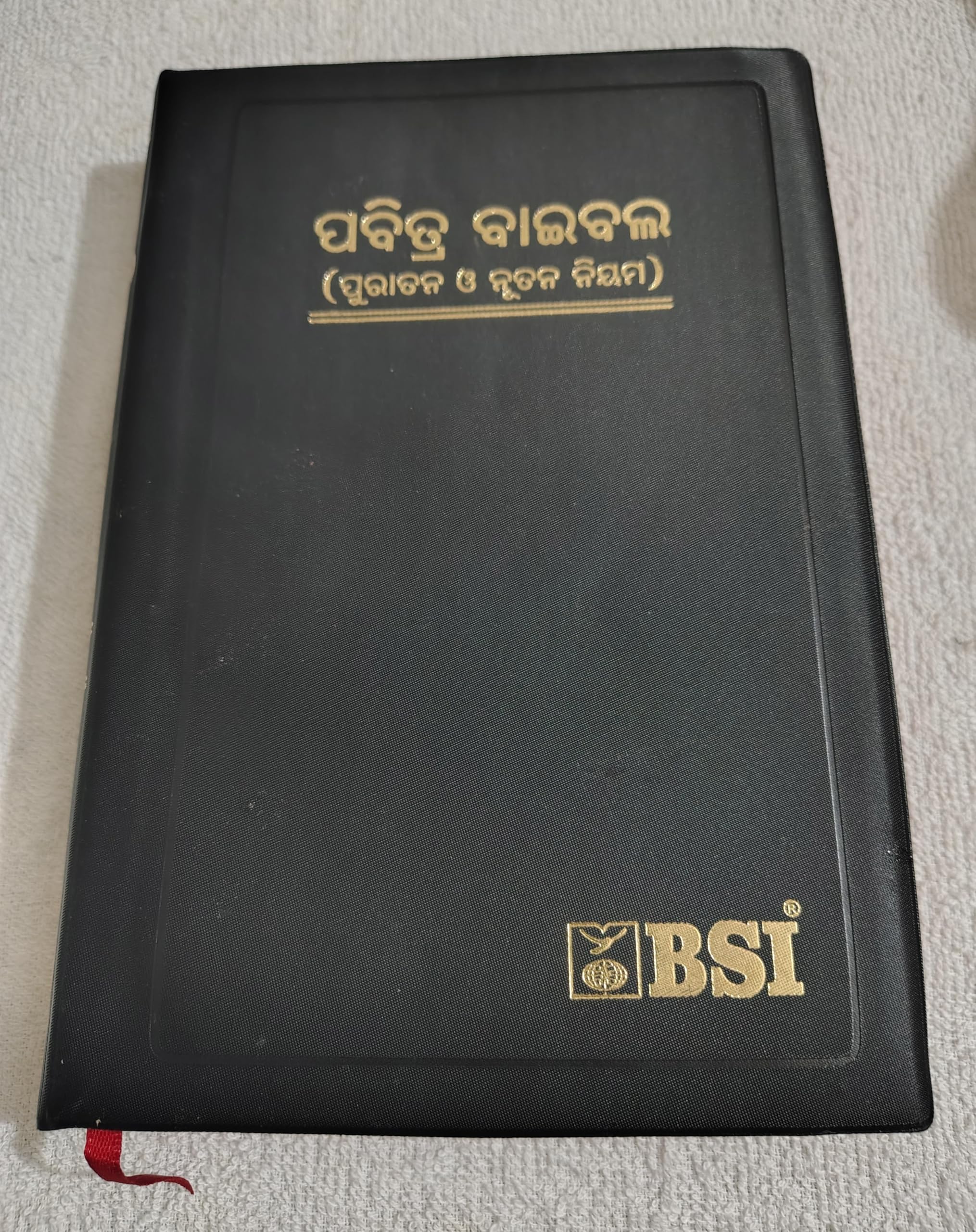 Oriya Bible: 0 Paperback – 1 February 2011