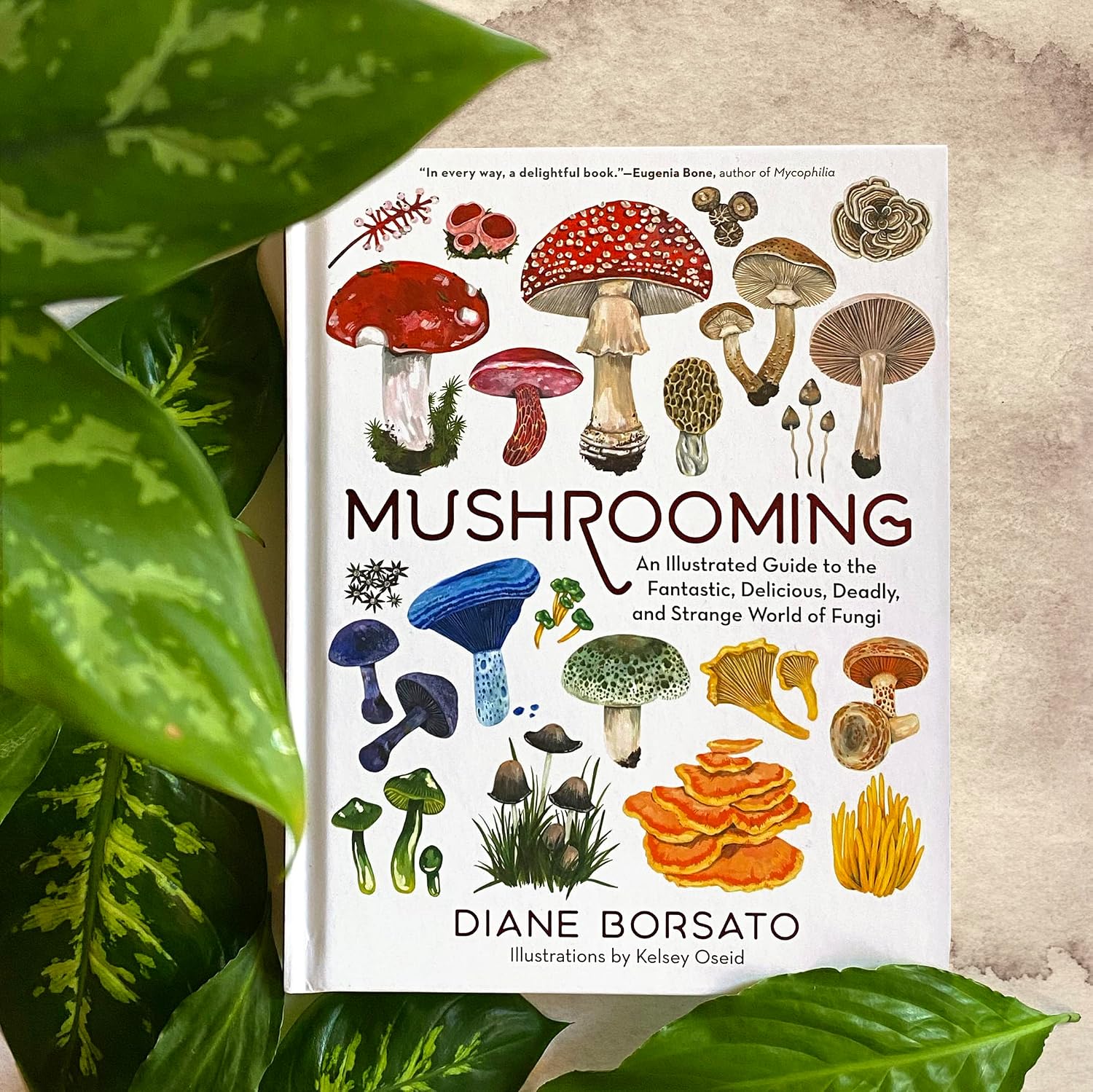 Mushrooming: An Illustrated Guide to the Fantastic, Delicious, Deadly, and Strange World of Fungi
